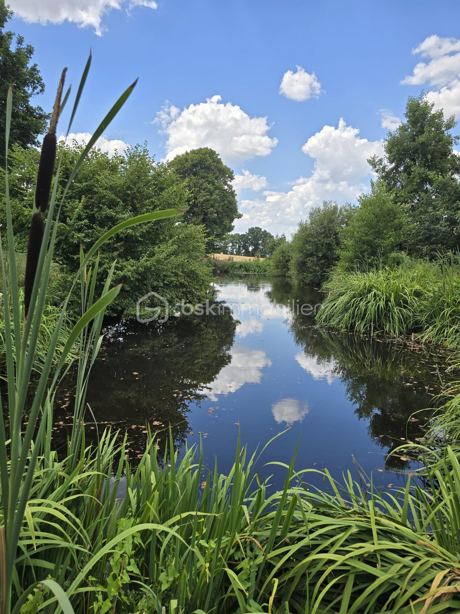 d9f5db8e-ebeb-43b9-a616-6f3ad4853438.jfif