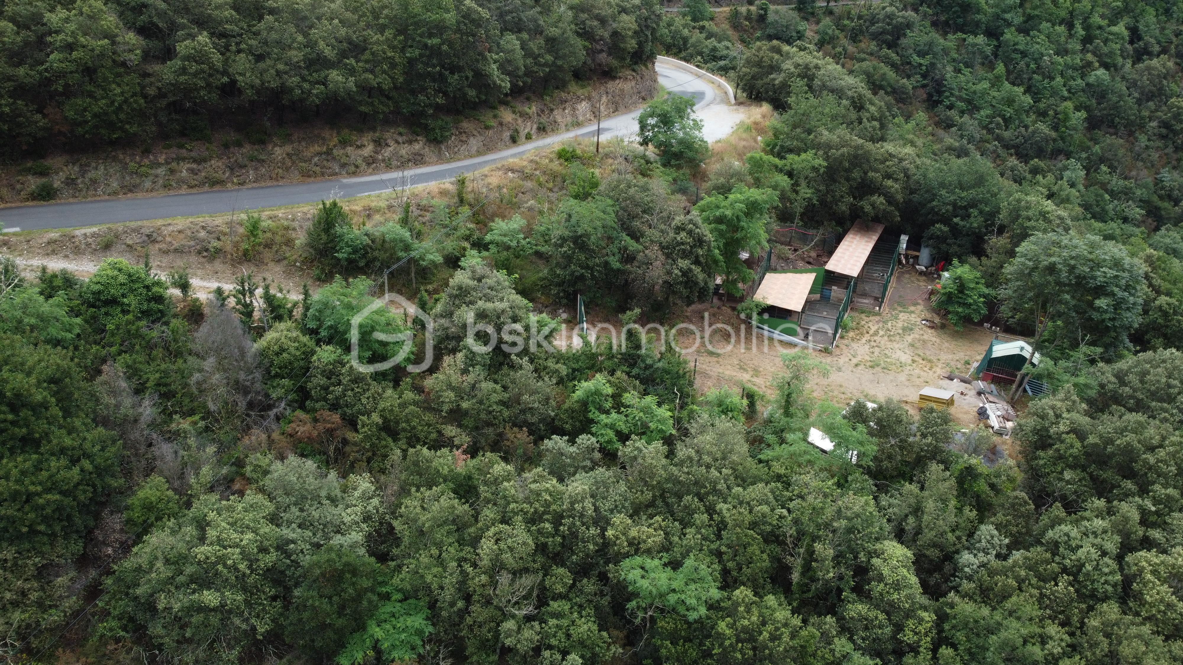 DJI_0897.JPG