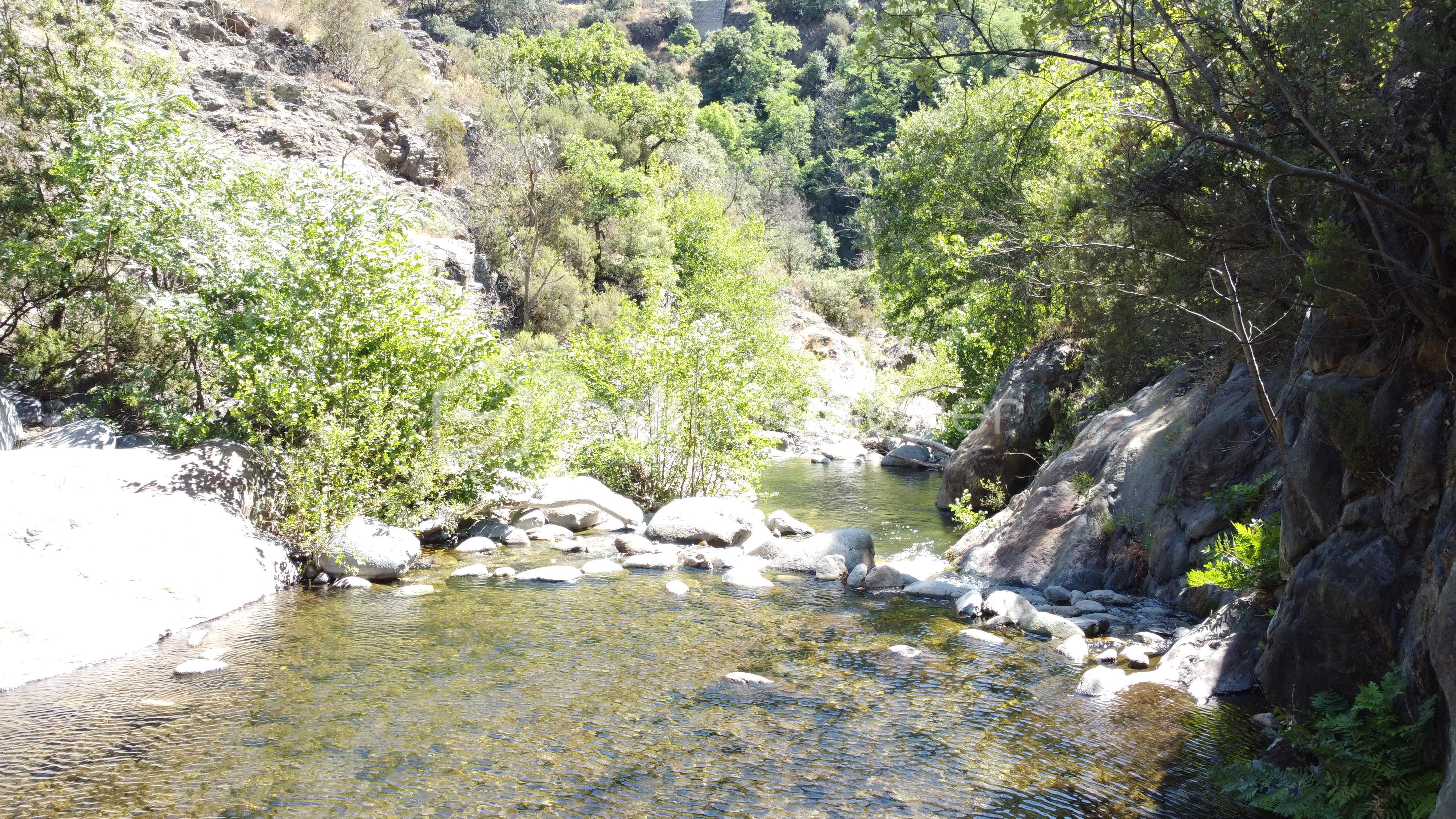 DJI_0964.JPG