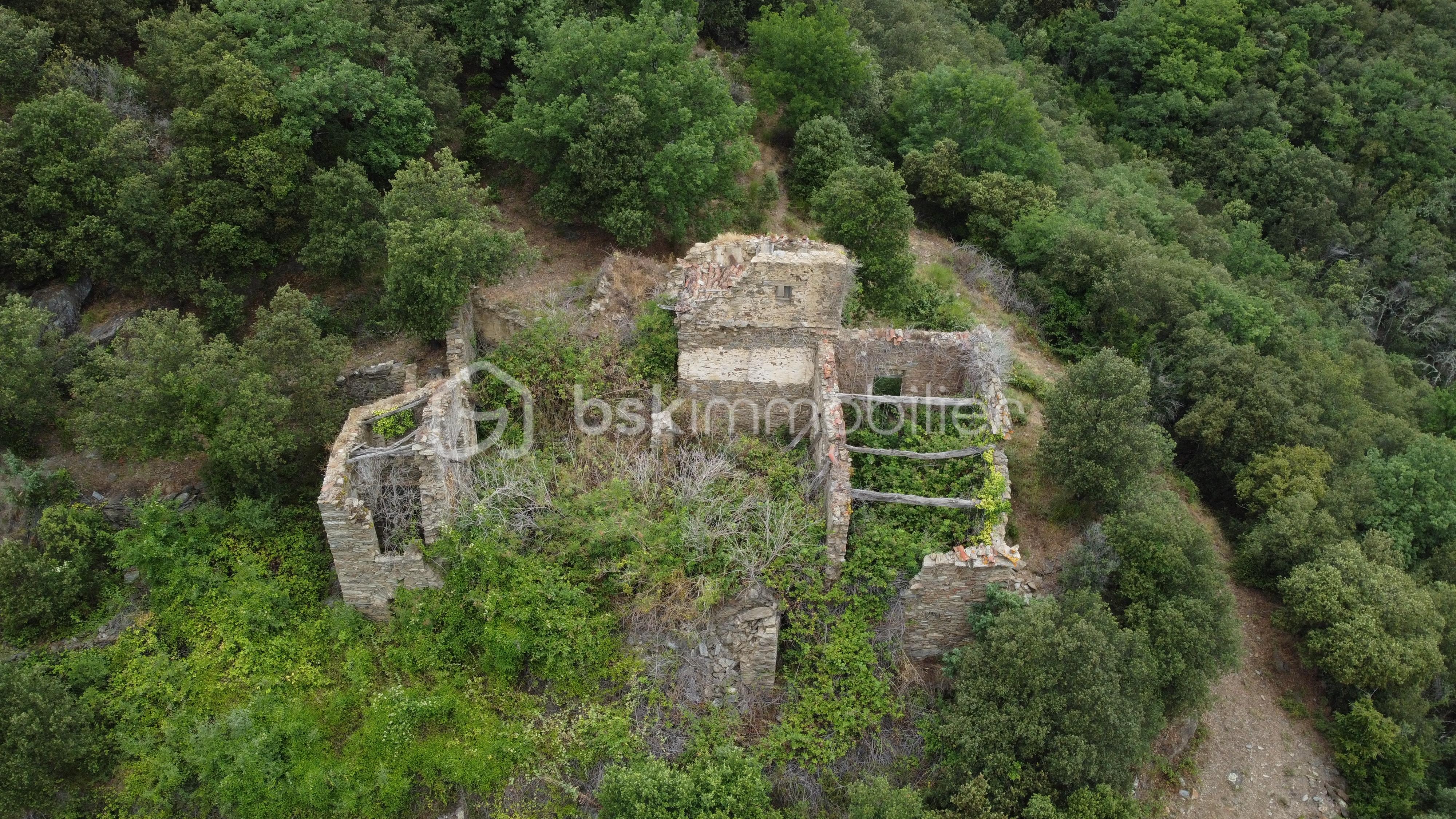 DJI_0857.JPG