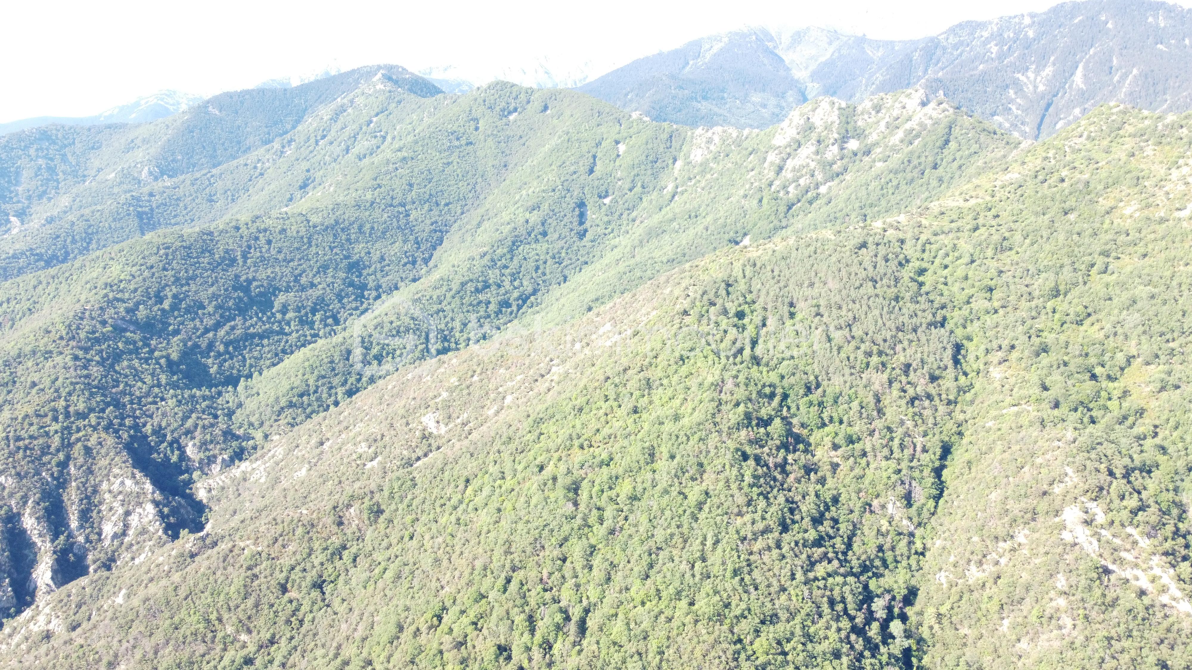 DJI_0929.JPG