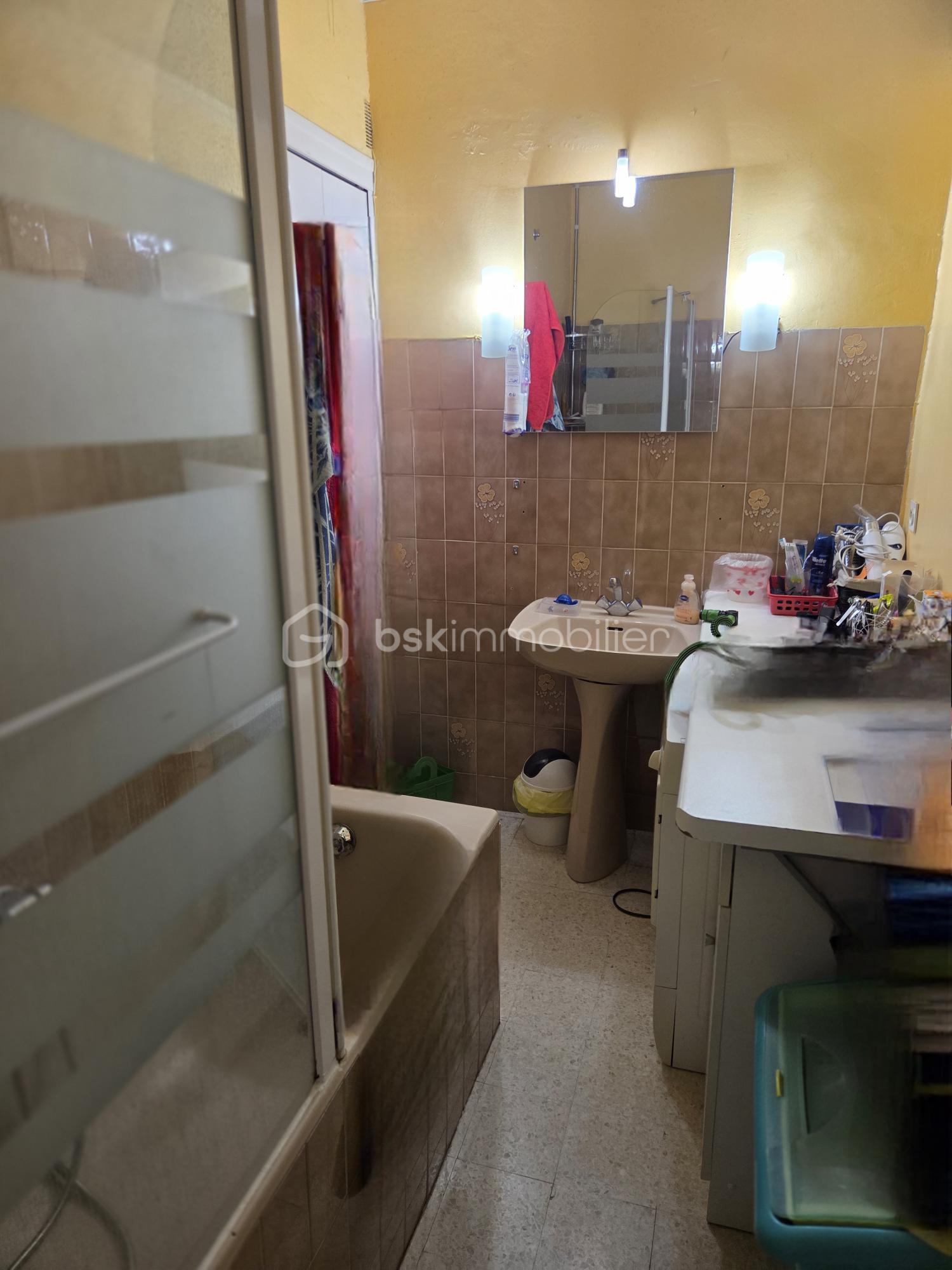 Immeuble de 254 m² - sdb immeuble steph 2eme et.jpg