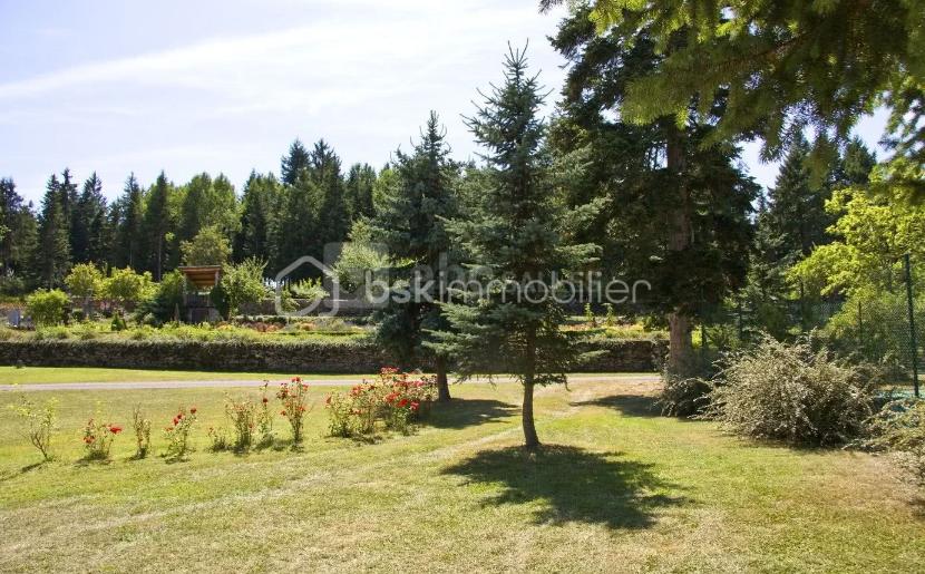 Chateau de 700 m² - Capture d'écran 2025-10-31 173511.png