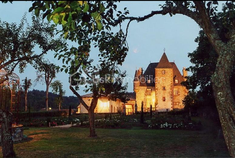 Chateau de 700 m² - Capture d'écran 2025-10-31 173405.png