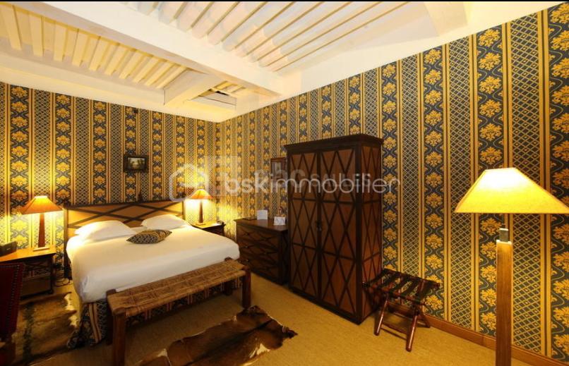 Chateau de 700 m² - Capture d'écran 2025-10-31 173325.png