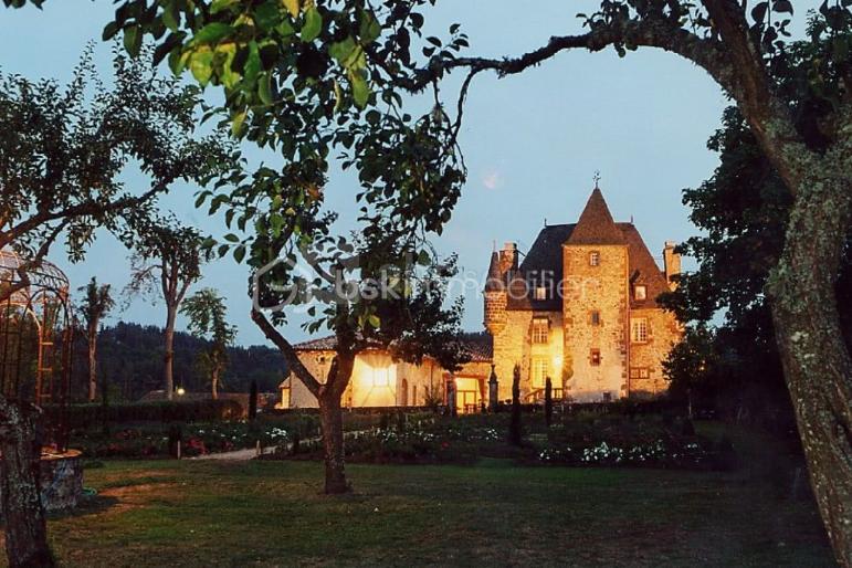 Chateau de 700 m² - Capture d'écran 2025-10-31 173500.png