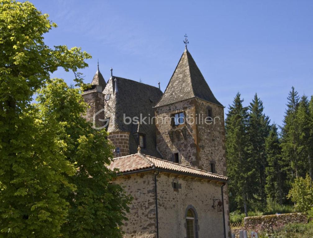 Chateau de 700 m² - 10.jpeg