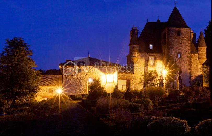 Chateau de 700 m² - Capture d'écran 2025-10-31 173419.png