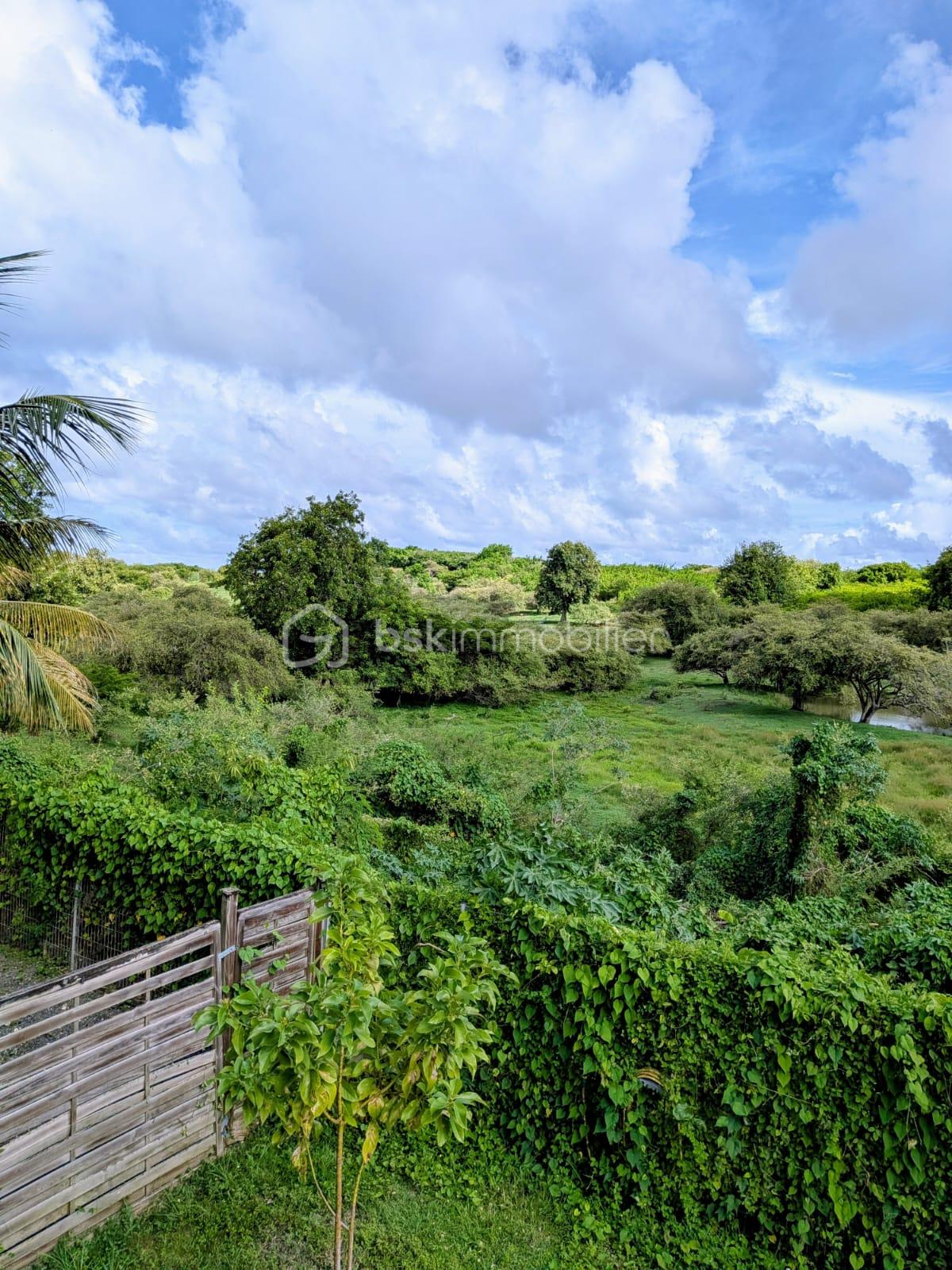 Appartement de 60,10 m² - Paysage 2.jpg