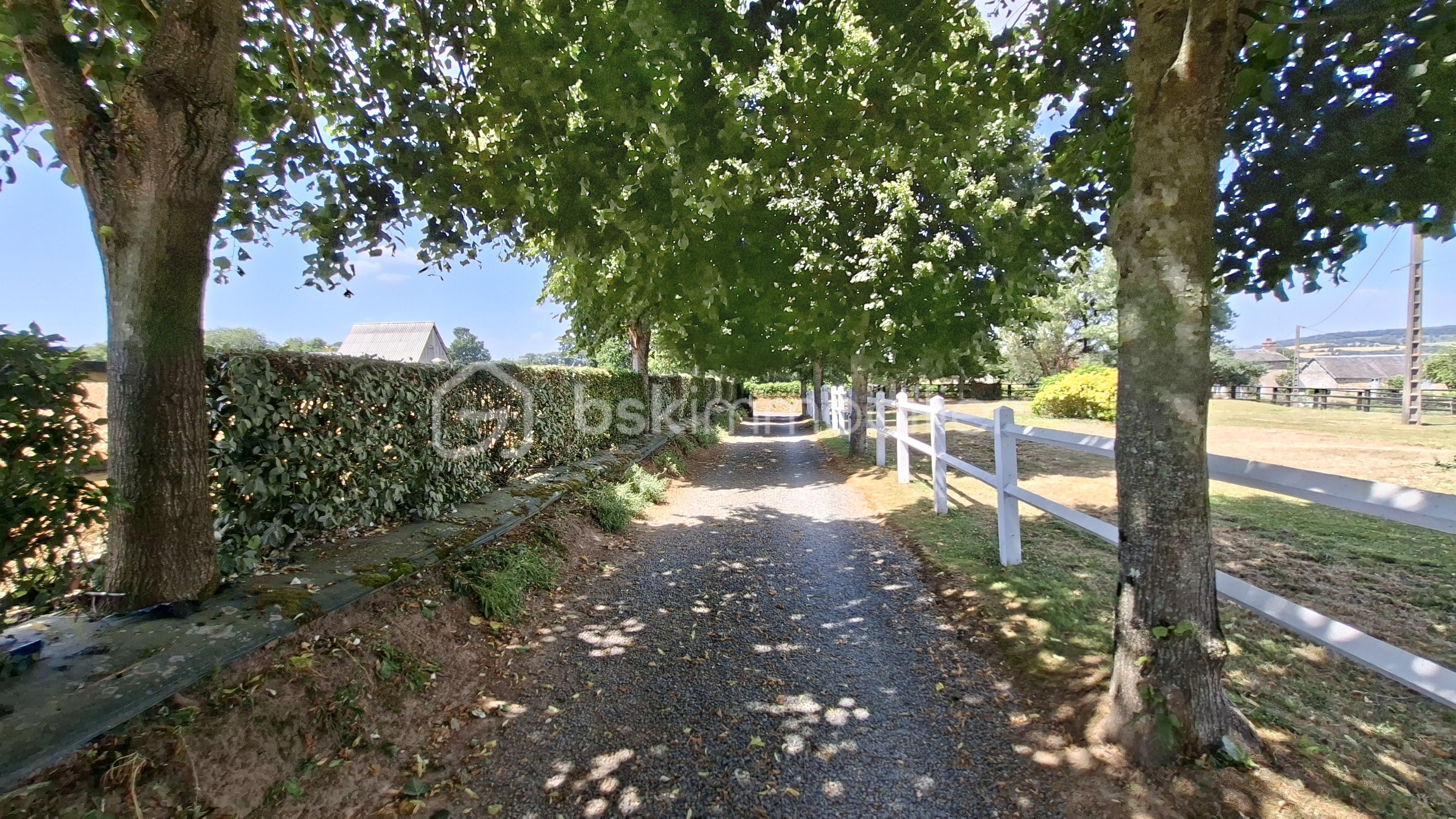 P allée vers l'entrée 1.jpg