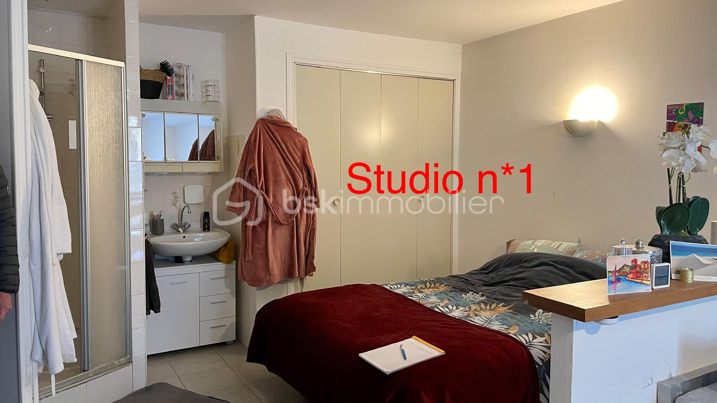 Immeuble de 260 m² - 965A9DB8-4F9B-450C-9880-ED8FFAE37196_1_201_a.jpeg