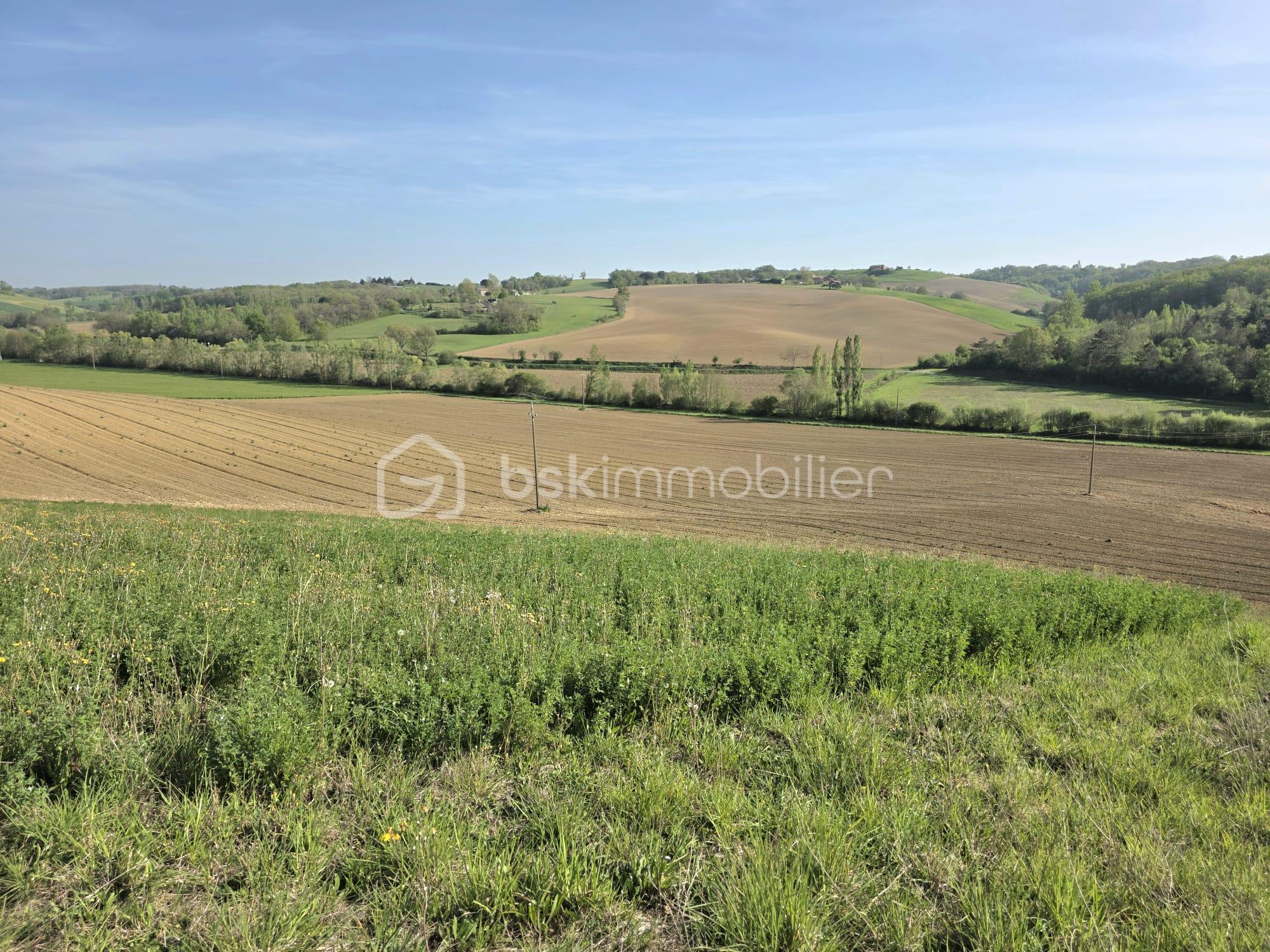 WhatsApp Image 2026-04-10 at 18.31.37.jpeg