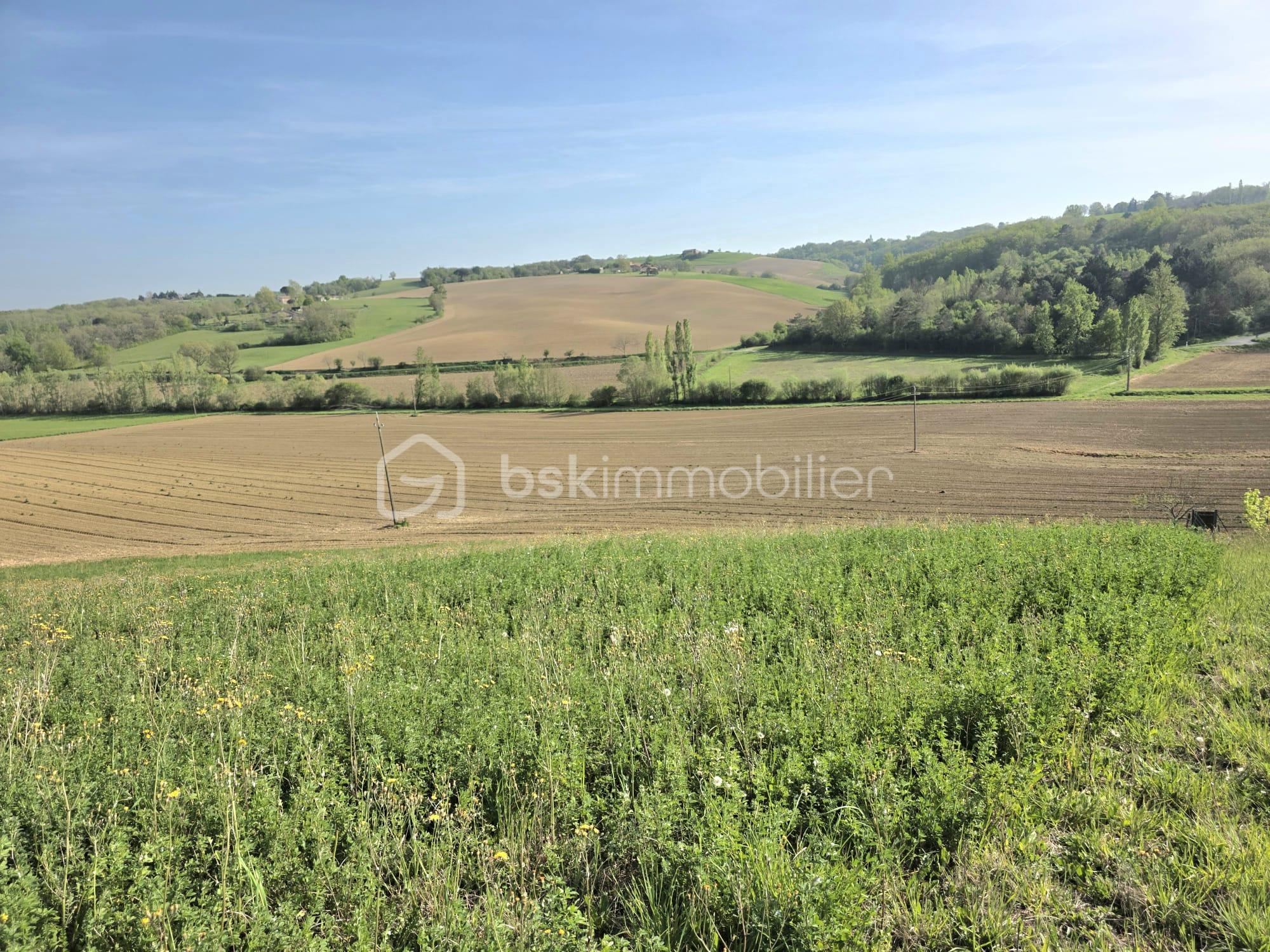 WhatsApp Image 2026-04-10 at 18.31.37 (1).jpeg