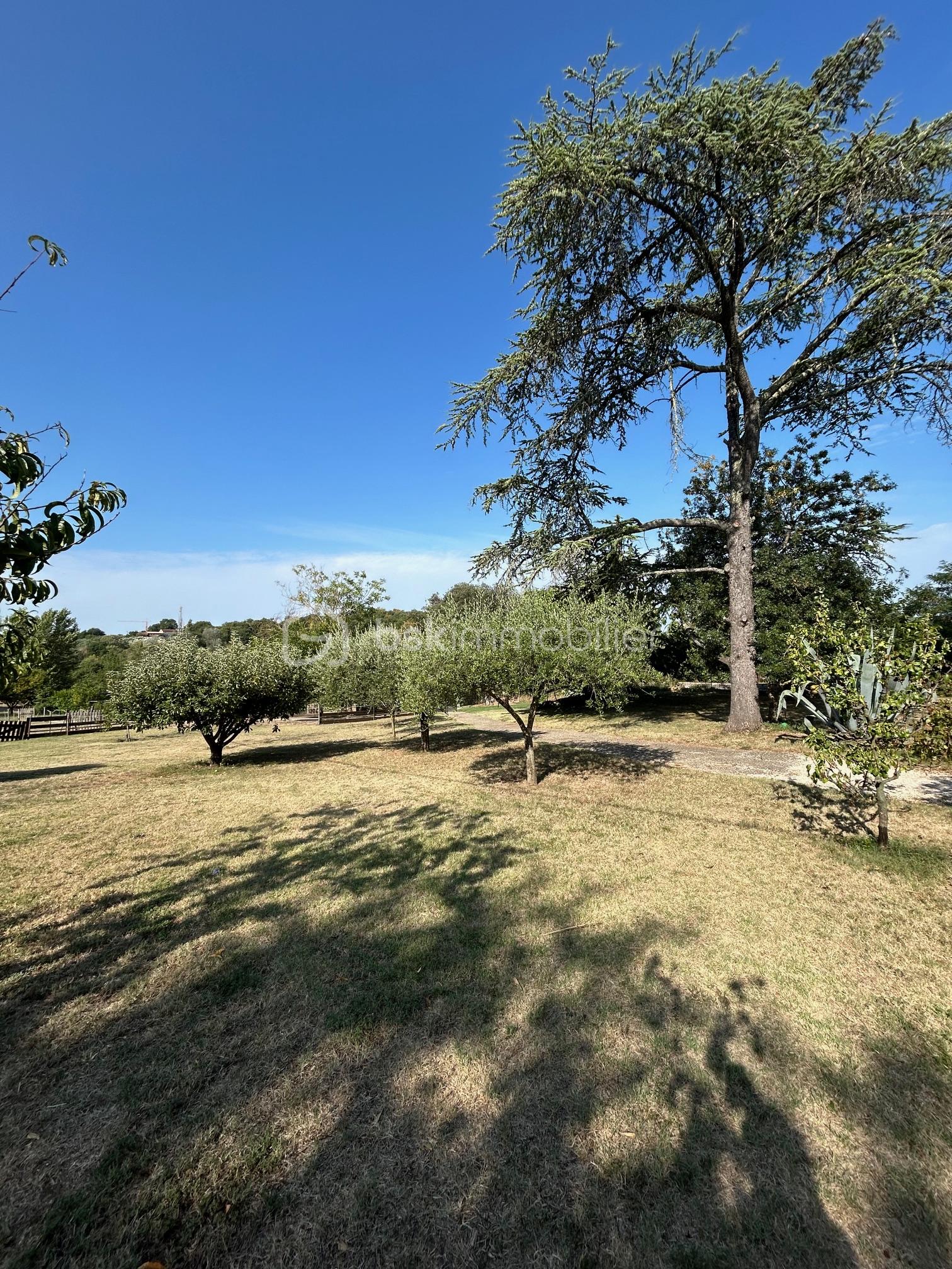 Maison de 259 m² - terrain arboré.jpg