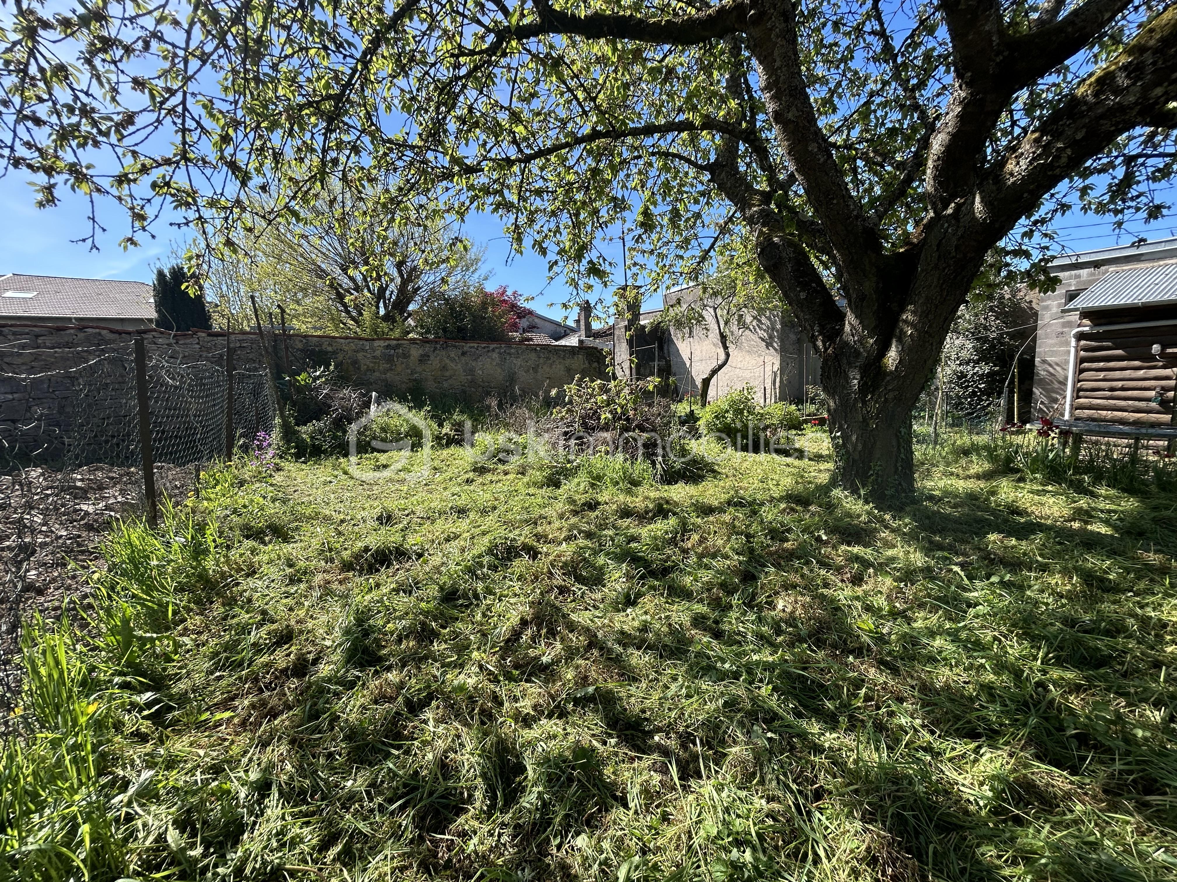 IMG_8972.jpeg