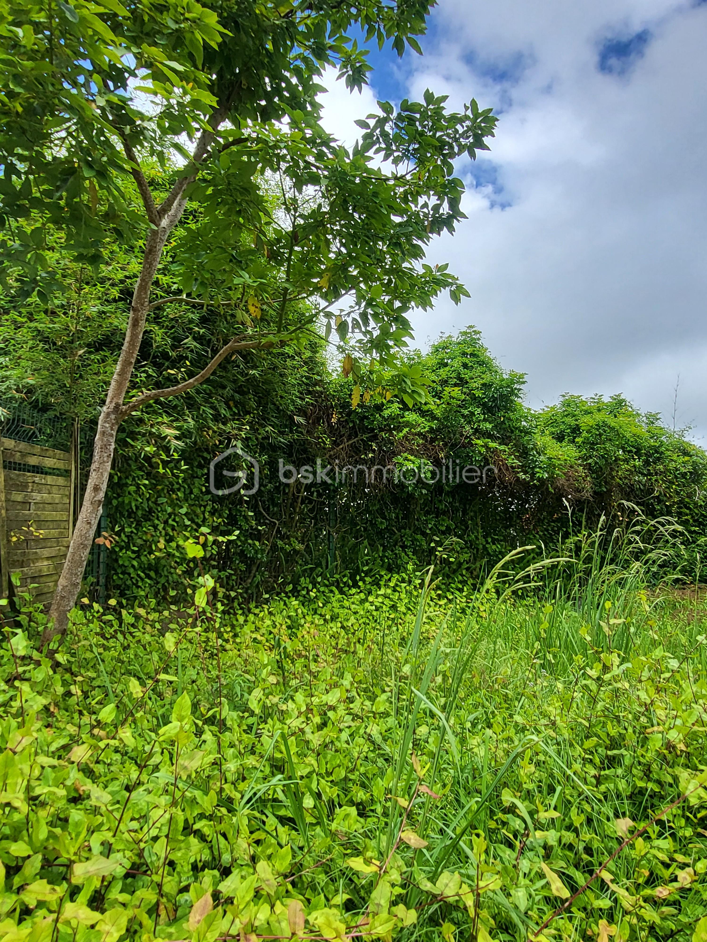 Maison de 119,96 m² - jardin gauche B.jpg