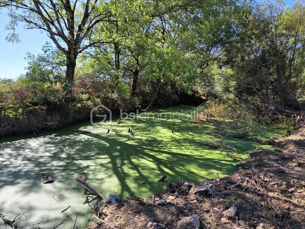 Corps de ferme de 124,22 m² - volette marre.jpeg