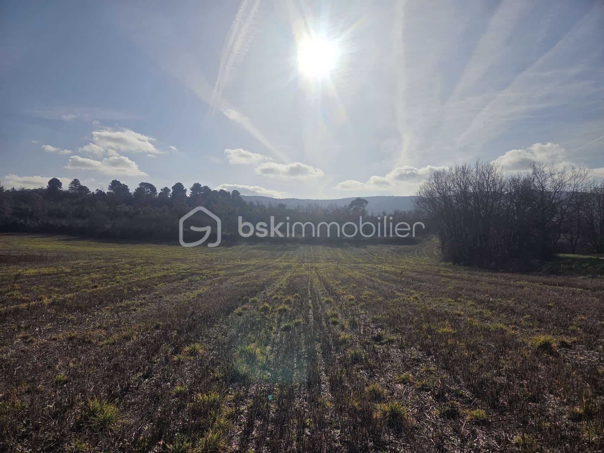 Terrain de 1 700 m² - WhatsApp Image 2026-01-22 at 10.44.39.jpeg
