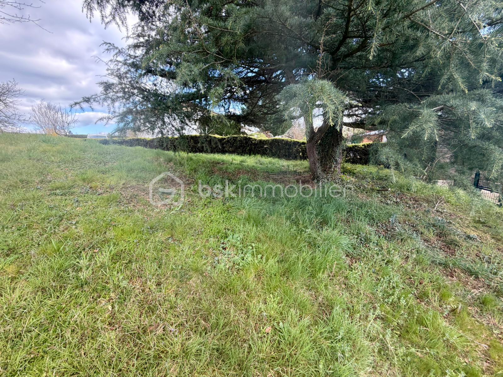 WhatsApp Image 2026-04-14 at 13.35.06(2).jpeg