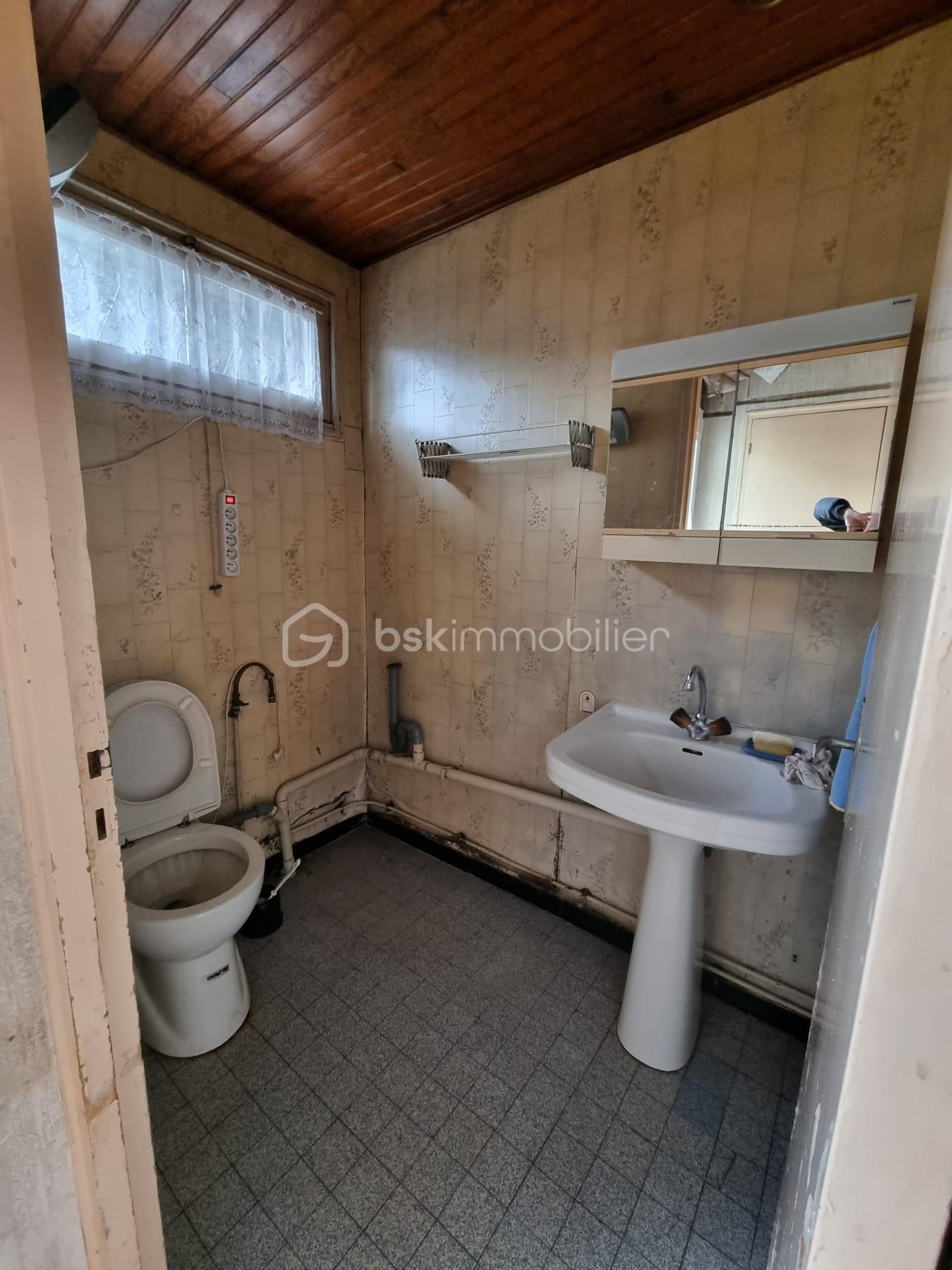 WhatsApp Image 2026-04-08 at 12.19.33 (4).jpeg