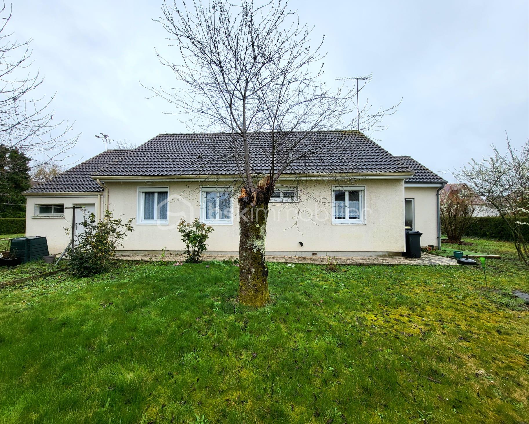 WhatsApp Image 2026-03-13 at 14.42.40.jpeg