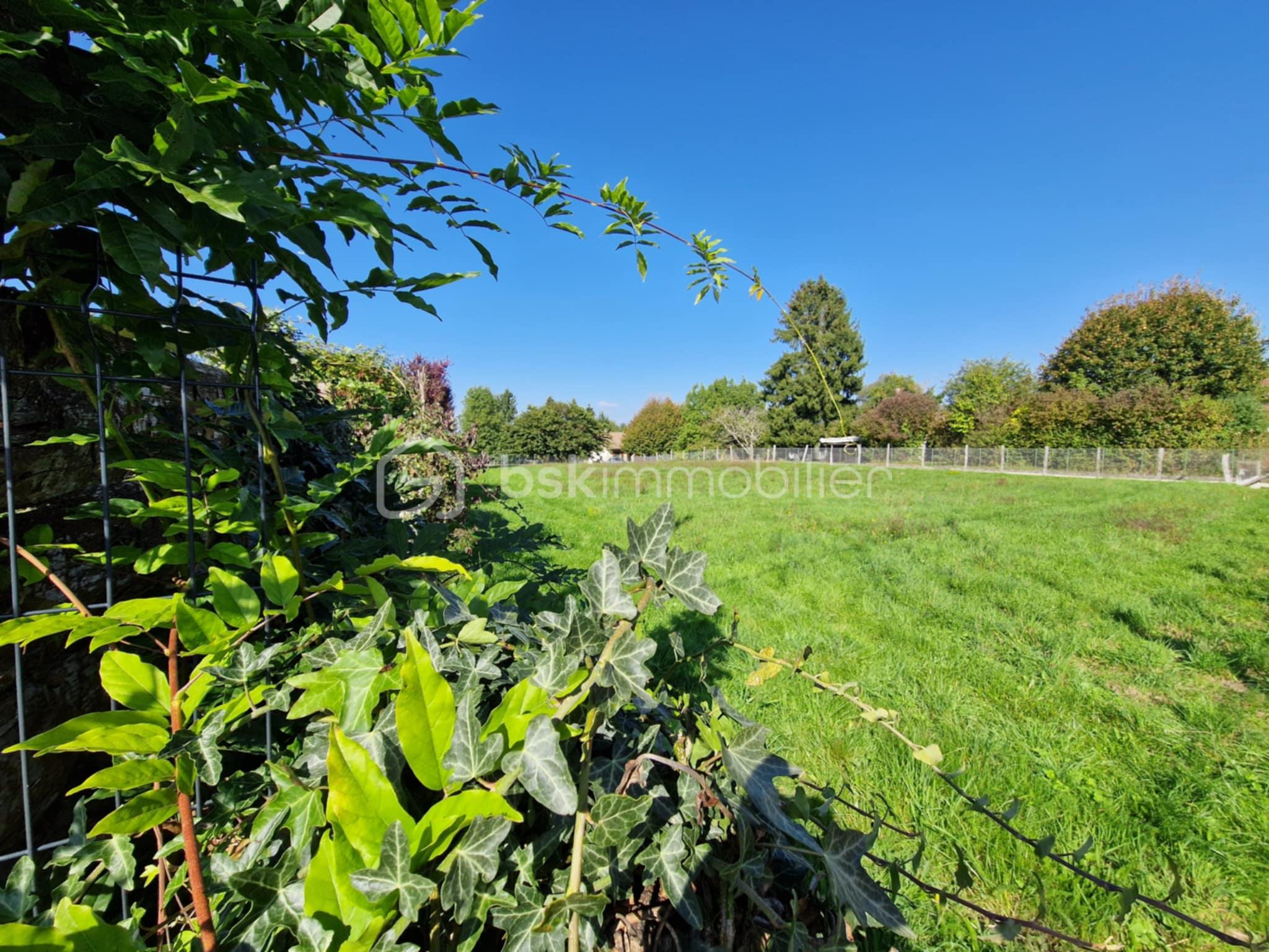 Terrain de 927 m² - 16d67715-b88c-417f-9038-a23b793e1ff1.jpg