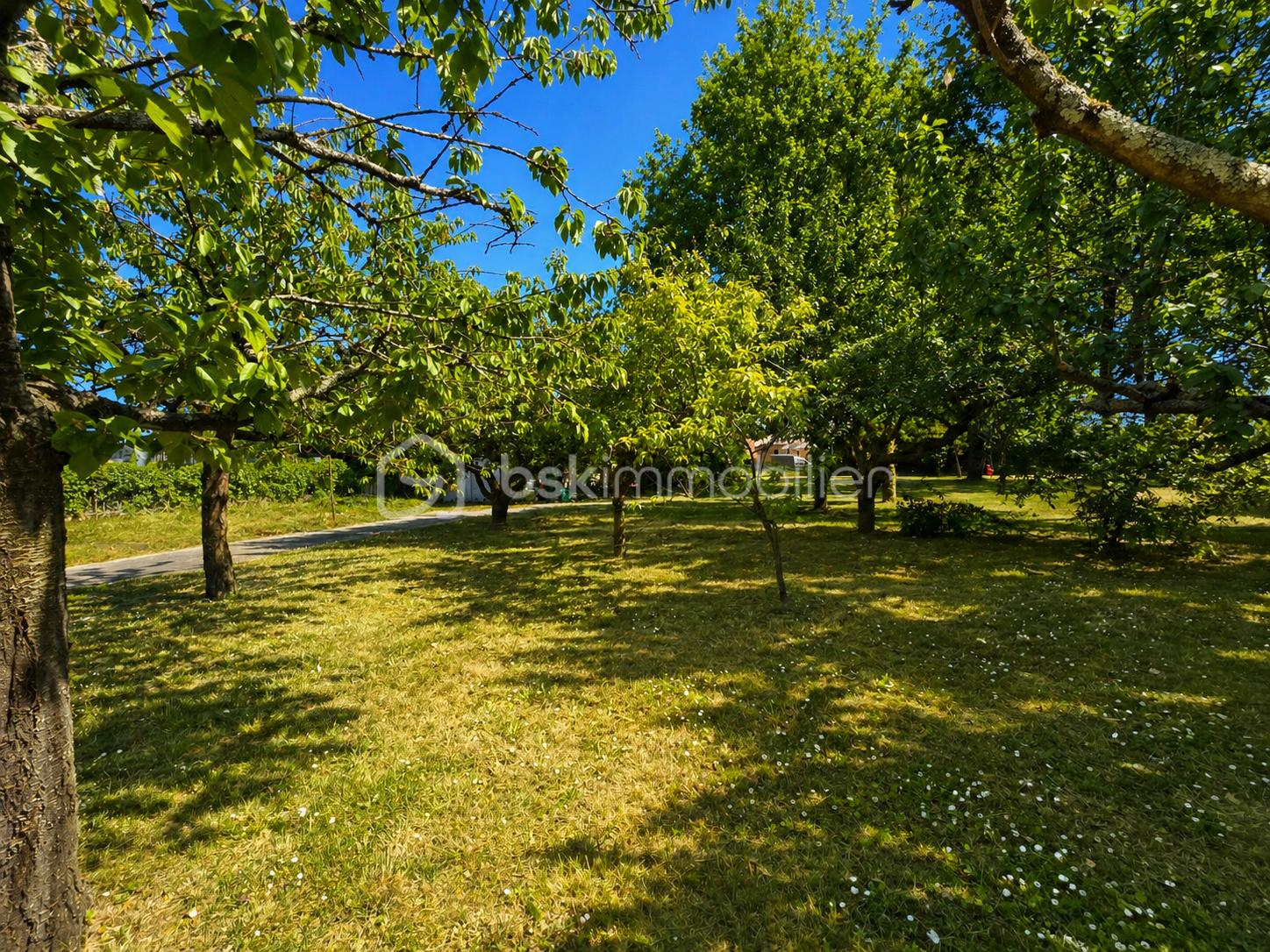 ChatGPT Image 28 avr. 2026, 11_18_11.png