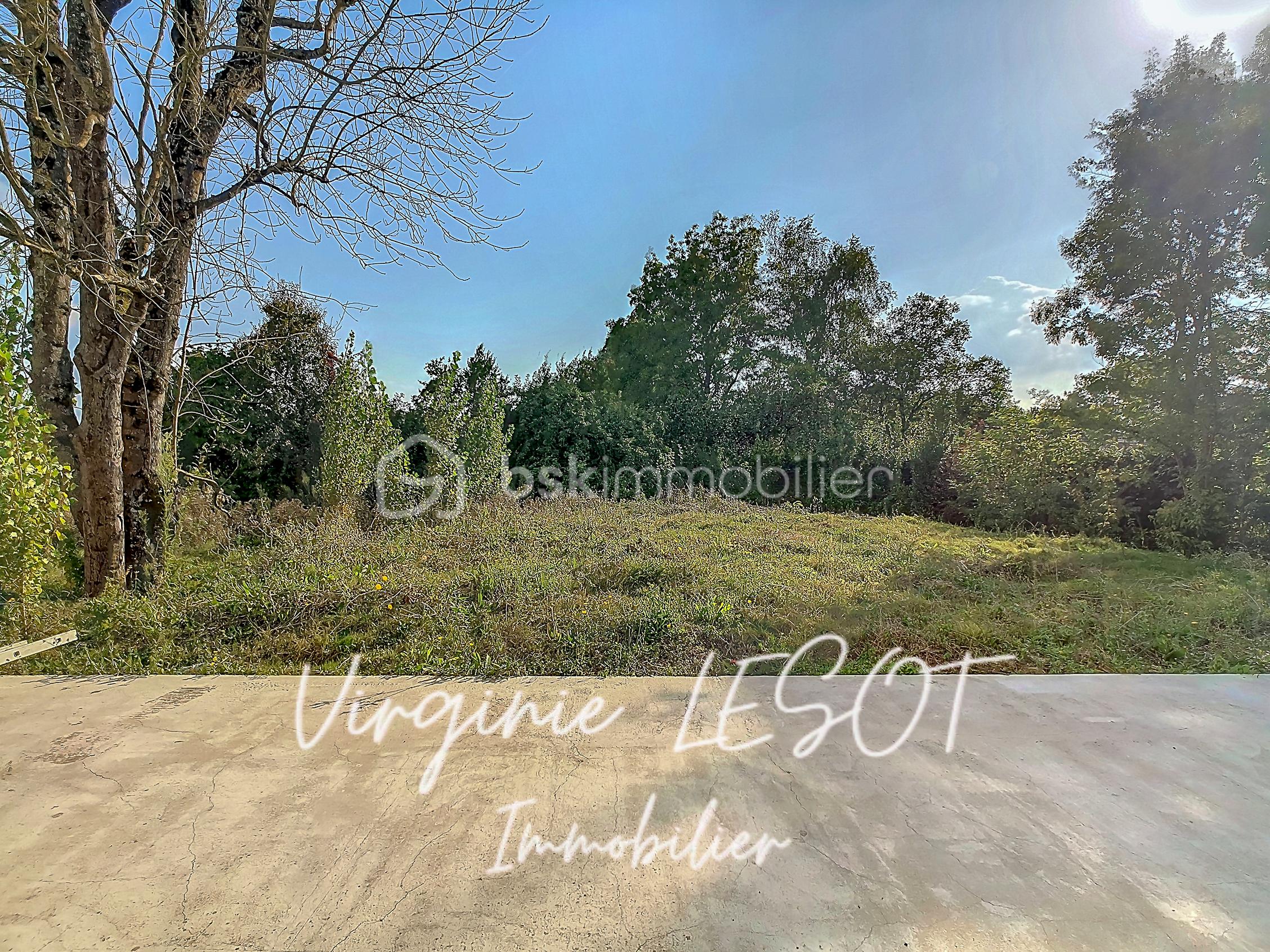 Maison contemporaine de 133 m² - EXT 8.jpg