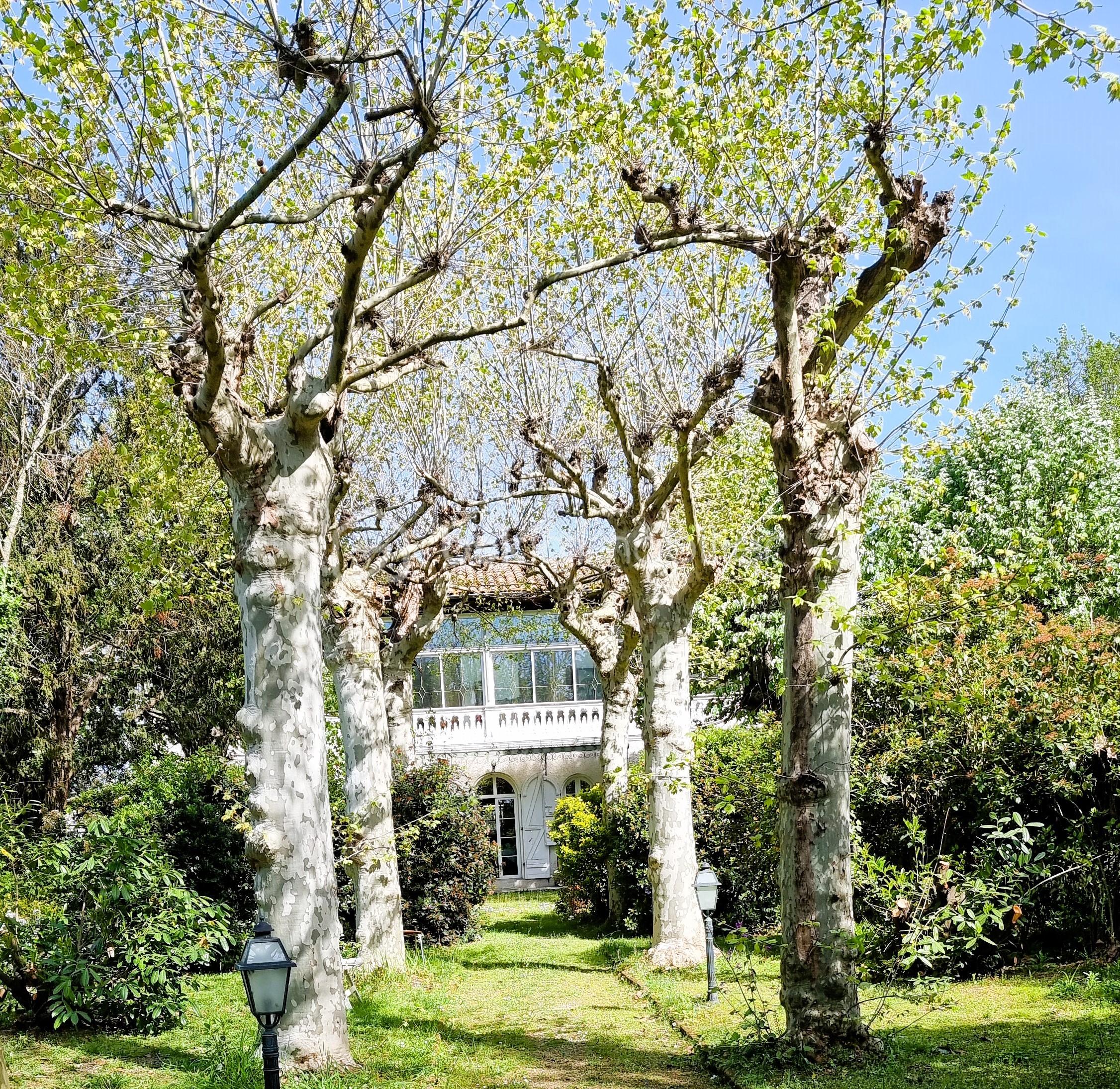 Maison de 214 m² - Photo.jpg