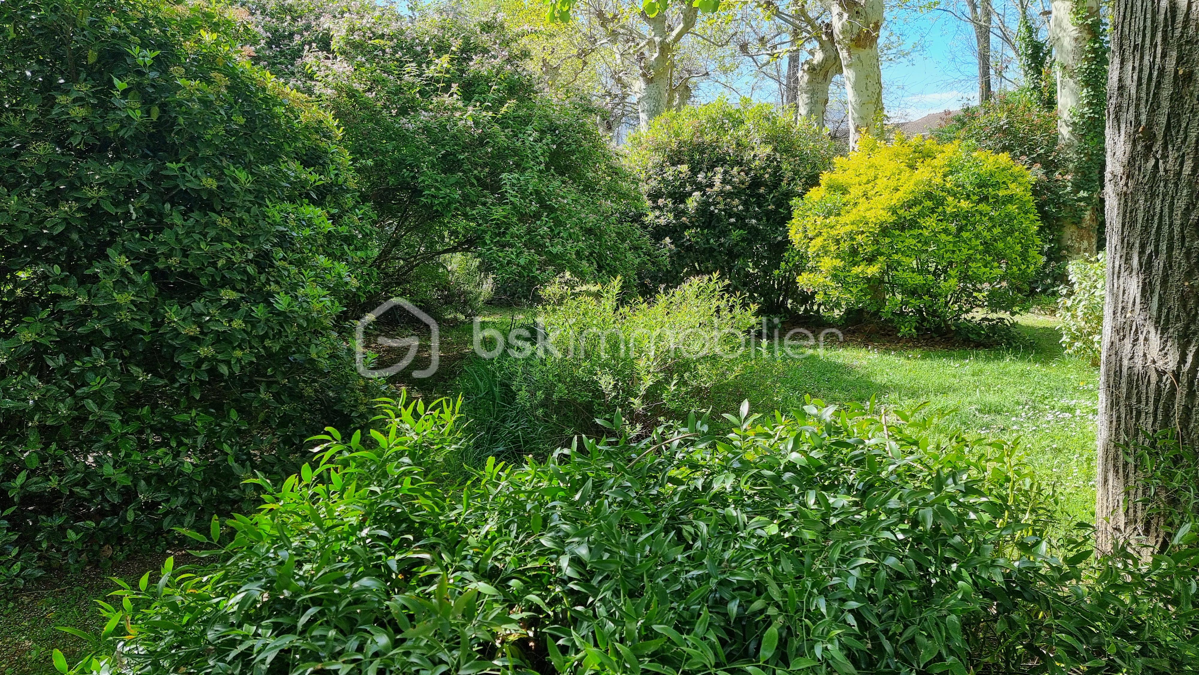 Maison de 214 m² - 20240405_113546 - Copie.jpg