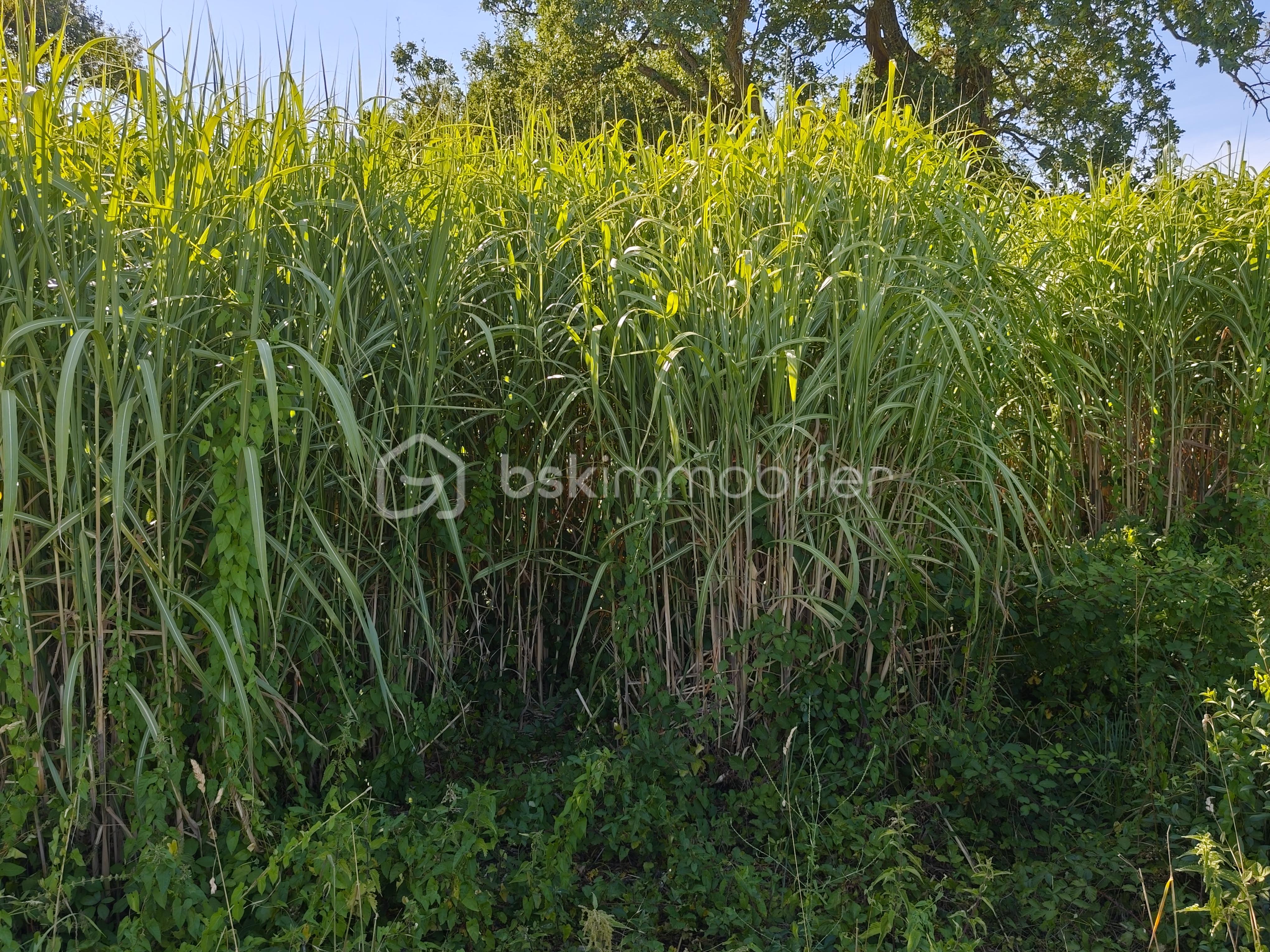 IMG_20260707_184448.jpg