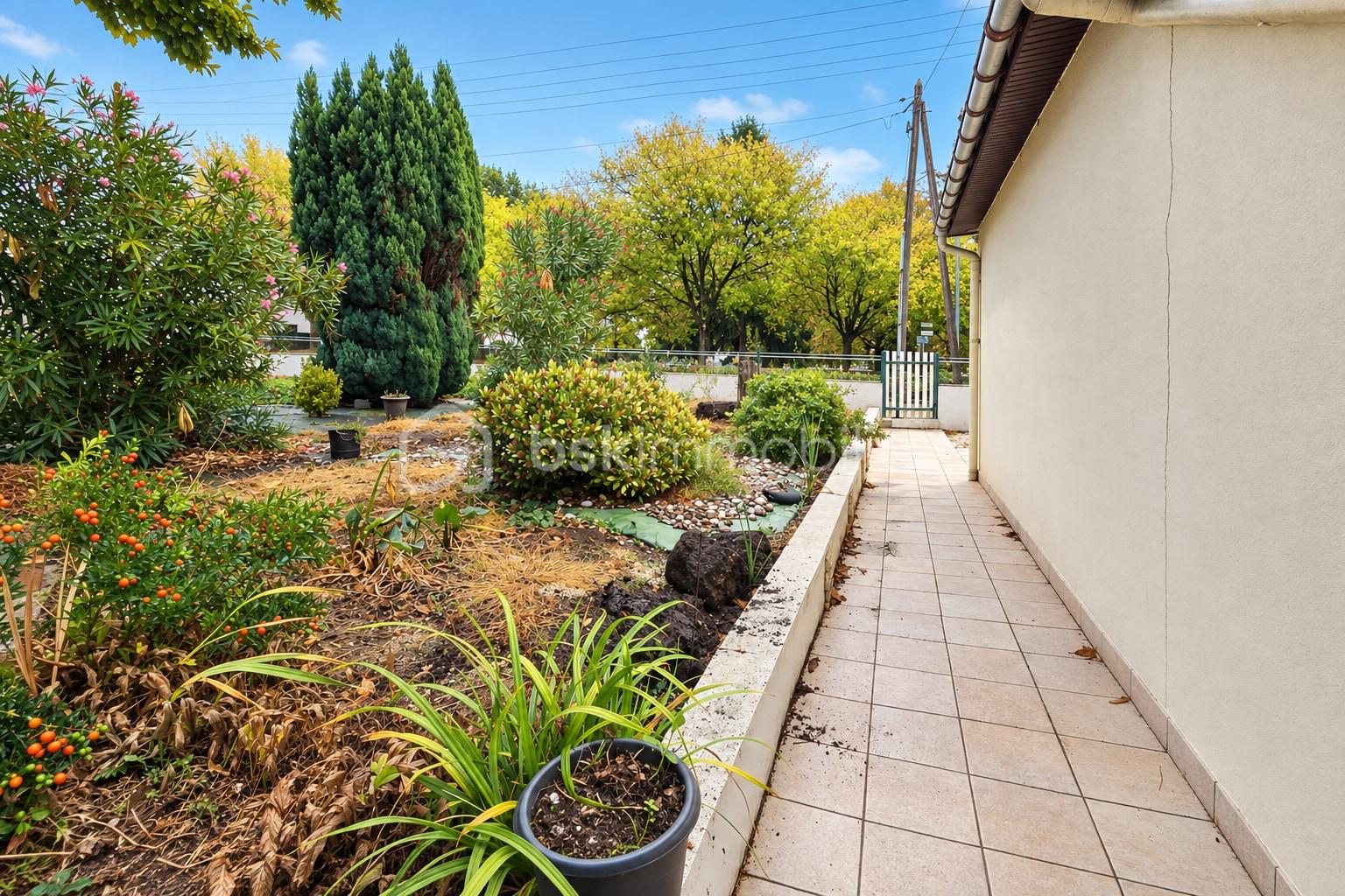 JARDIN_ameliore.jpg