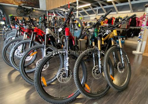 delcroix vélos.png