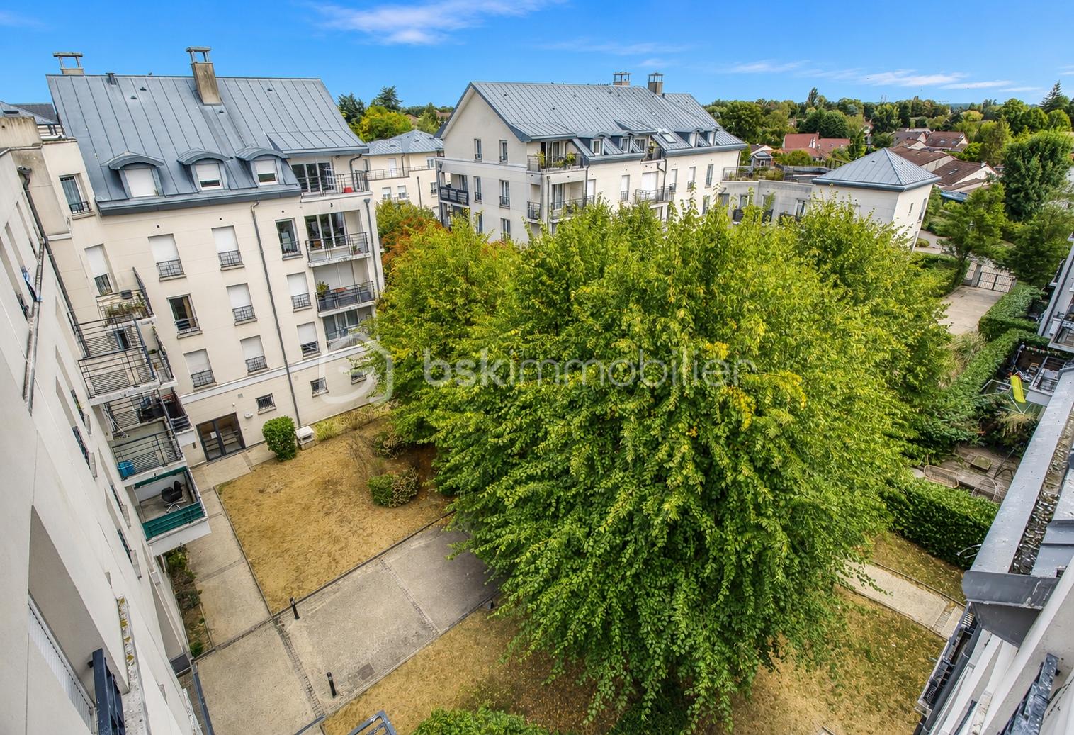 15-Cour-IA.jpg