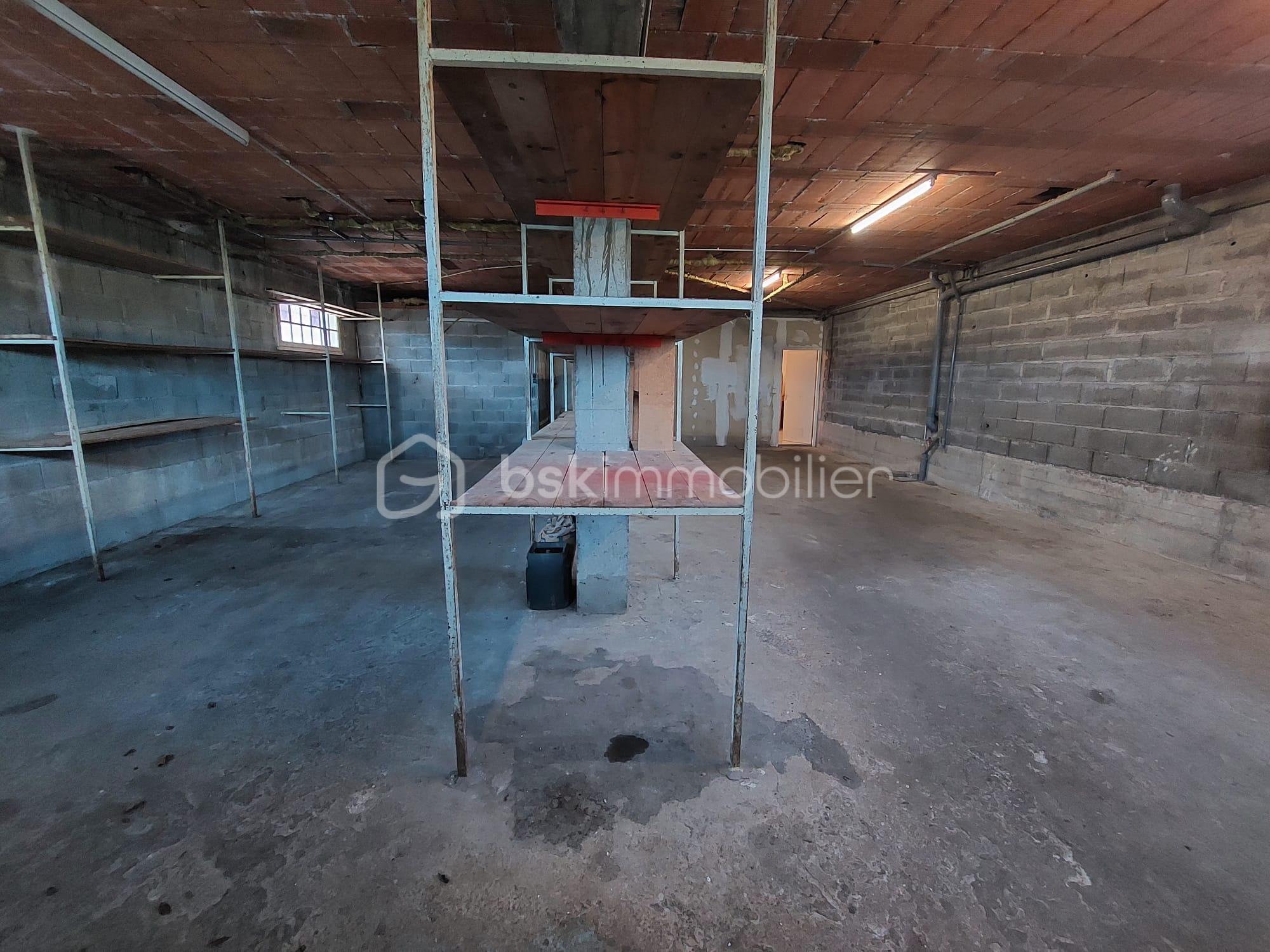 Maison traditionnelle de 300,40 m² - garage.jpeg