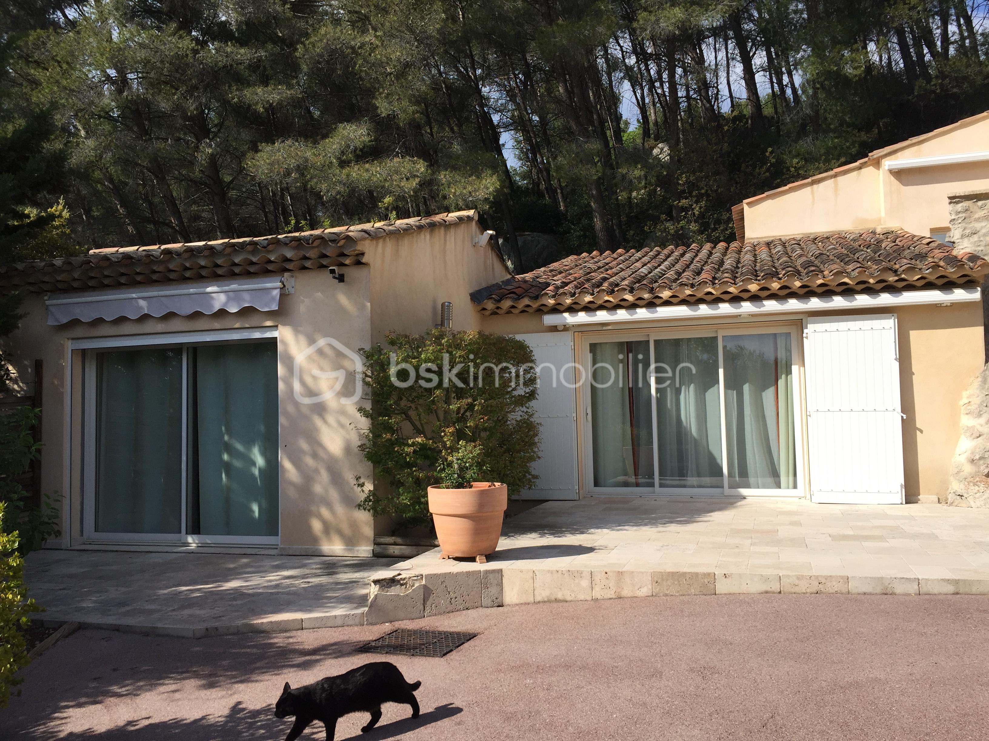 Propriete de 490 m² - IMG_6460.JPG