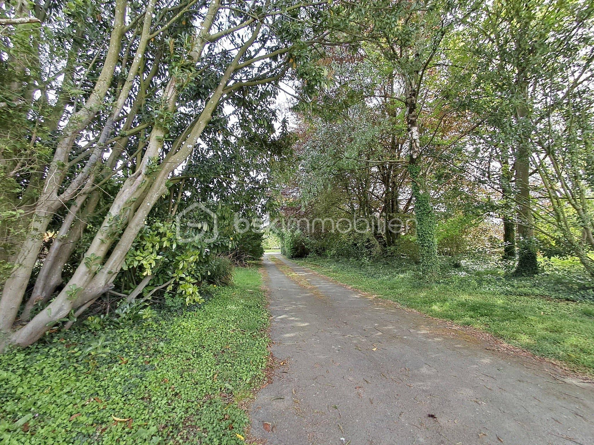 chemin 1.jpg