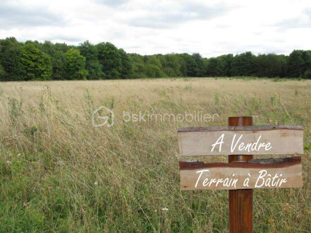 TERRAIN.jpg