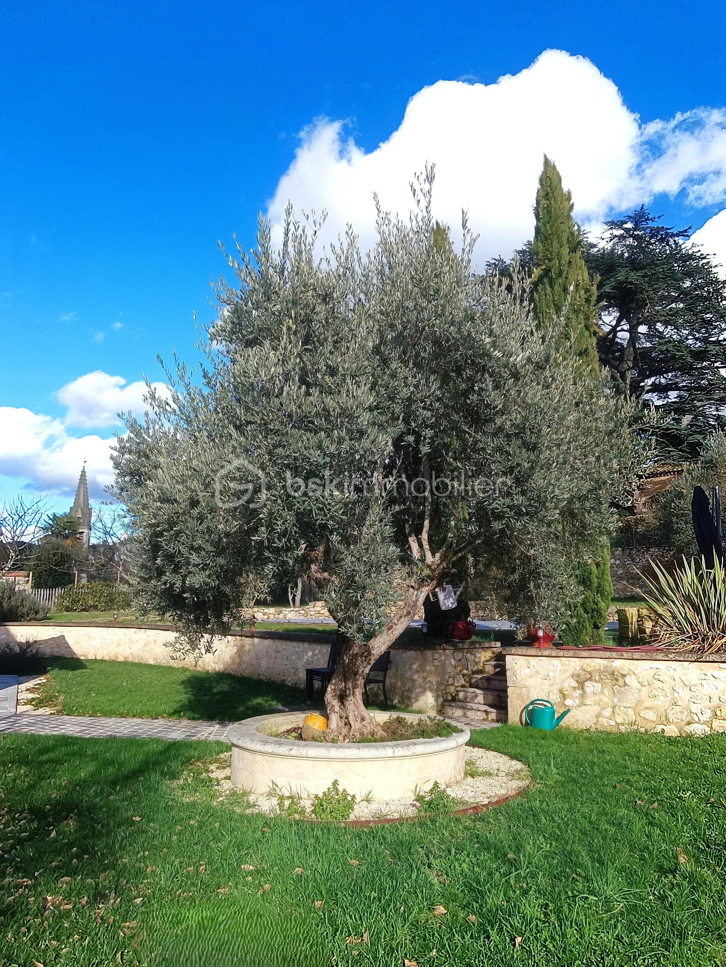 Maison de ville de 276,20 m² - Maison_Condom_investisseur_piscine_rentabilite_gers_cesar_carvalho_03.jpg