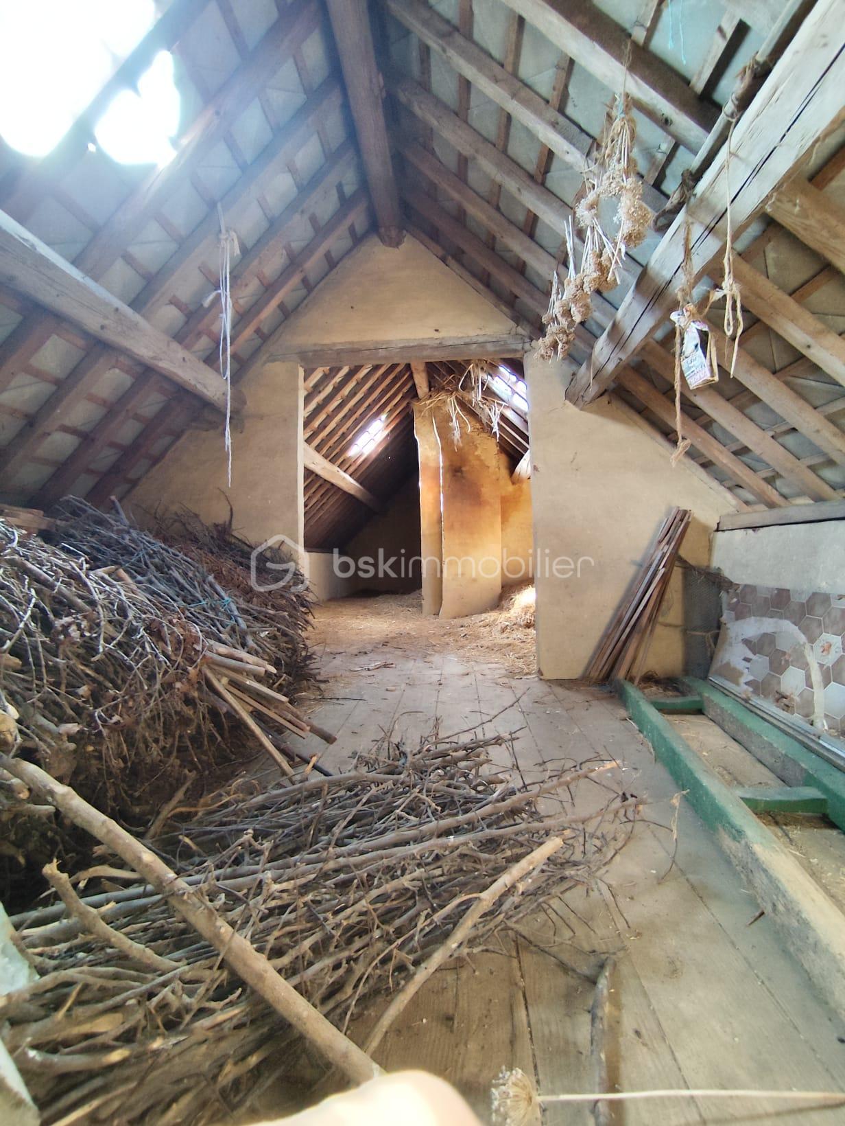 WhatsApp Image 2026-03-12 at 07.51.50 (1).jpeg