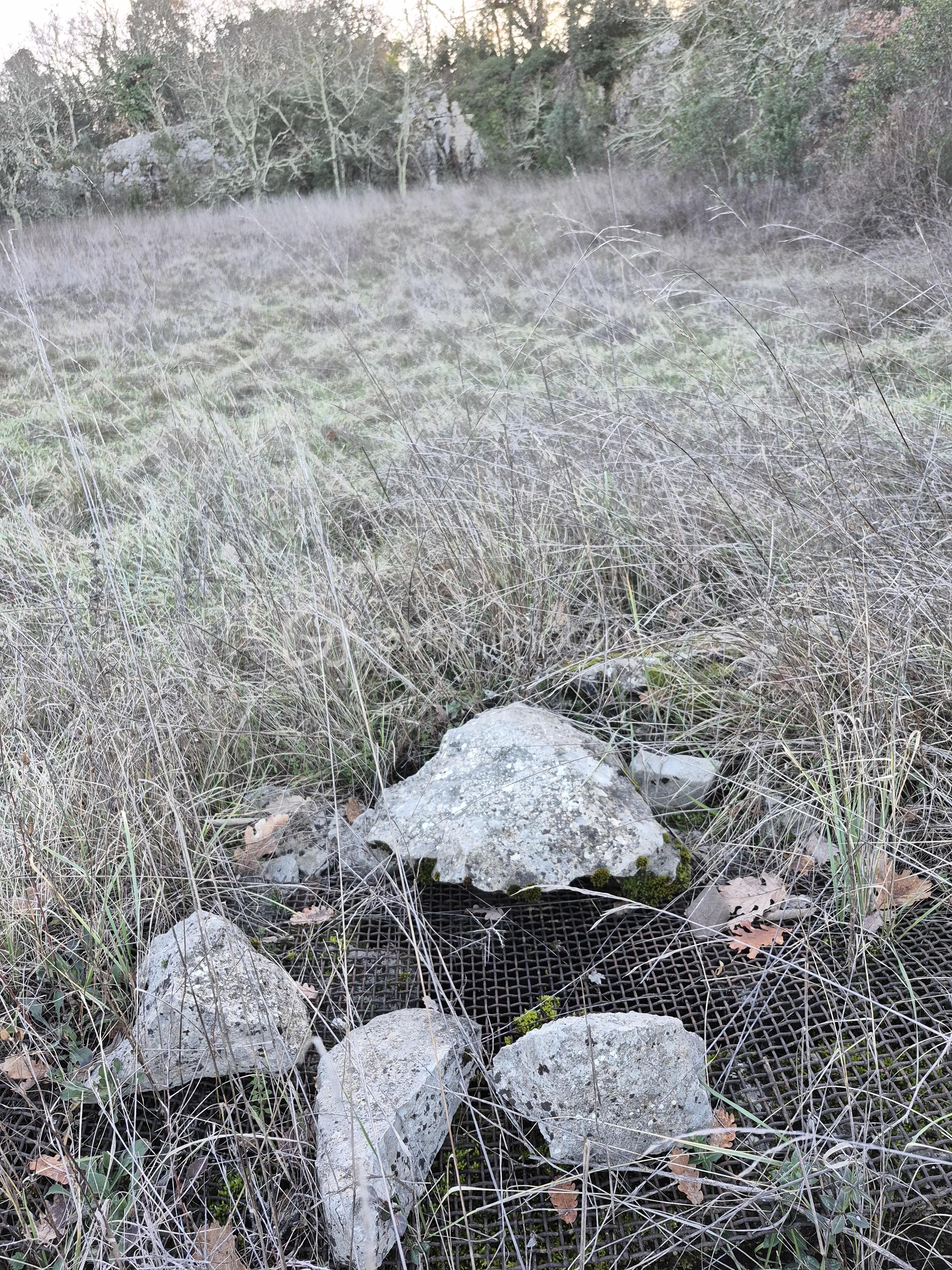 Terrain de 2 100 m² - 20260126_163654.jpg