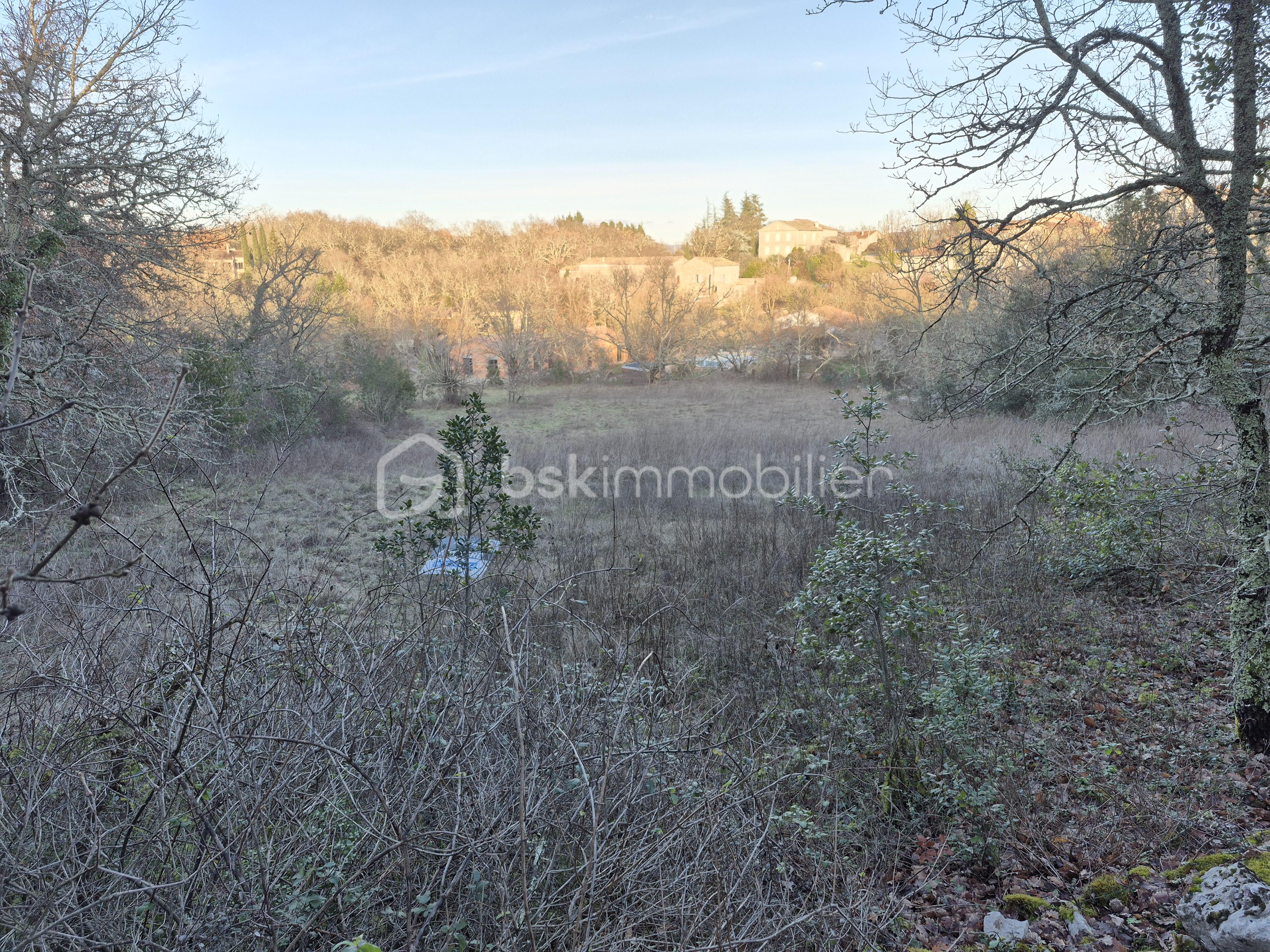 Terrain de 2 100 m² - 20260126_163335.jpg