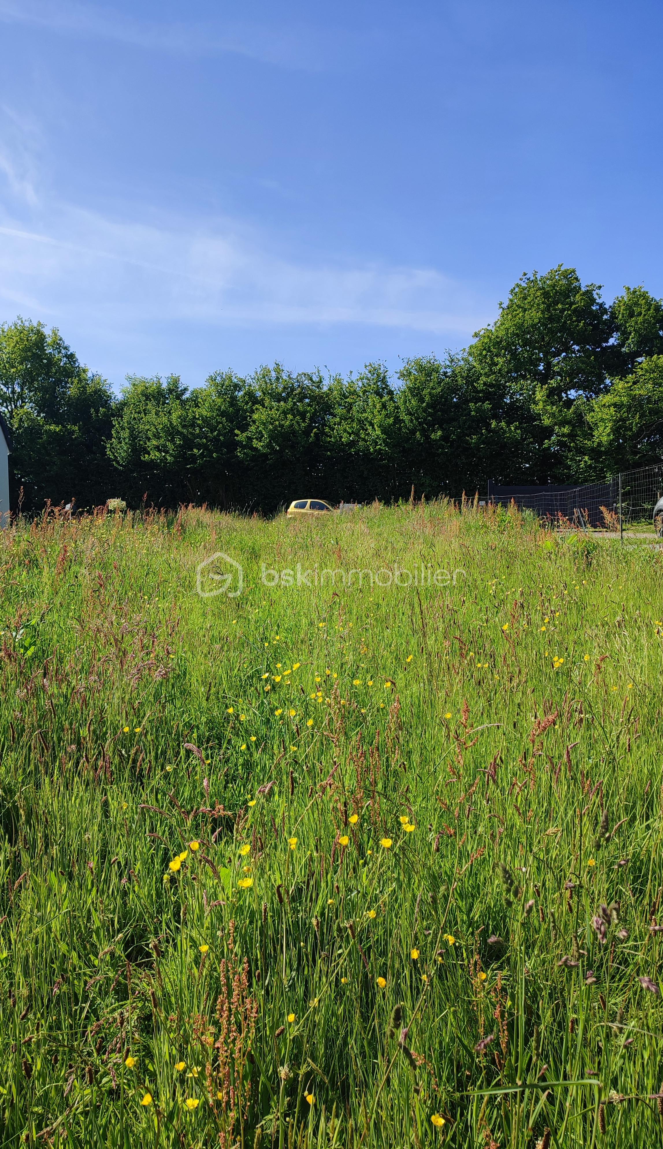 Lotissement de 997 m²