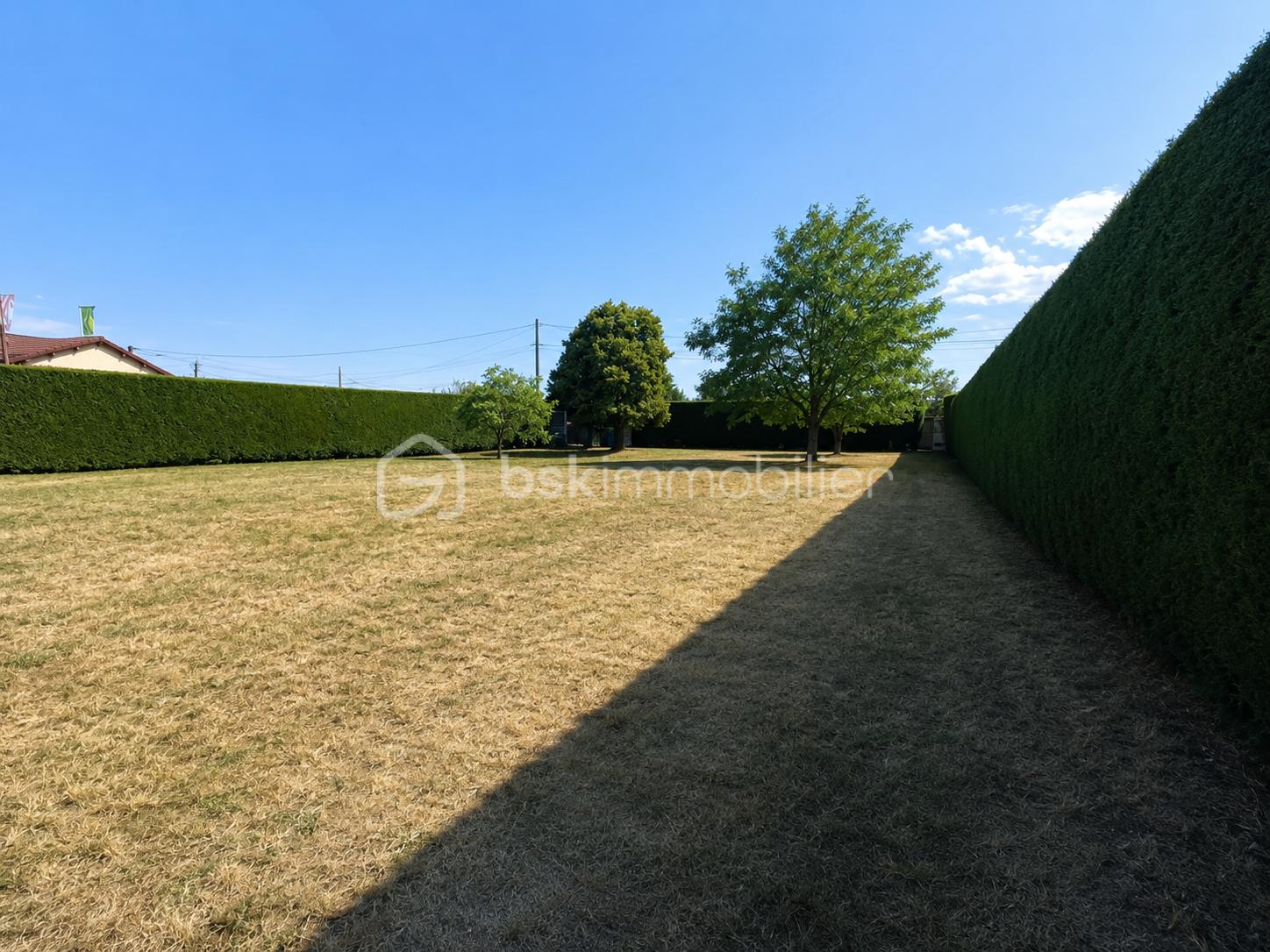 Terrain arrière 1.png