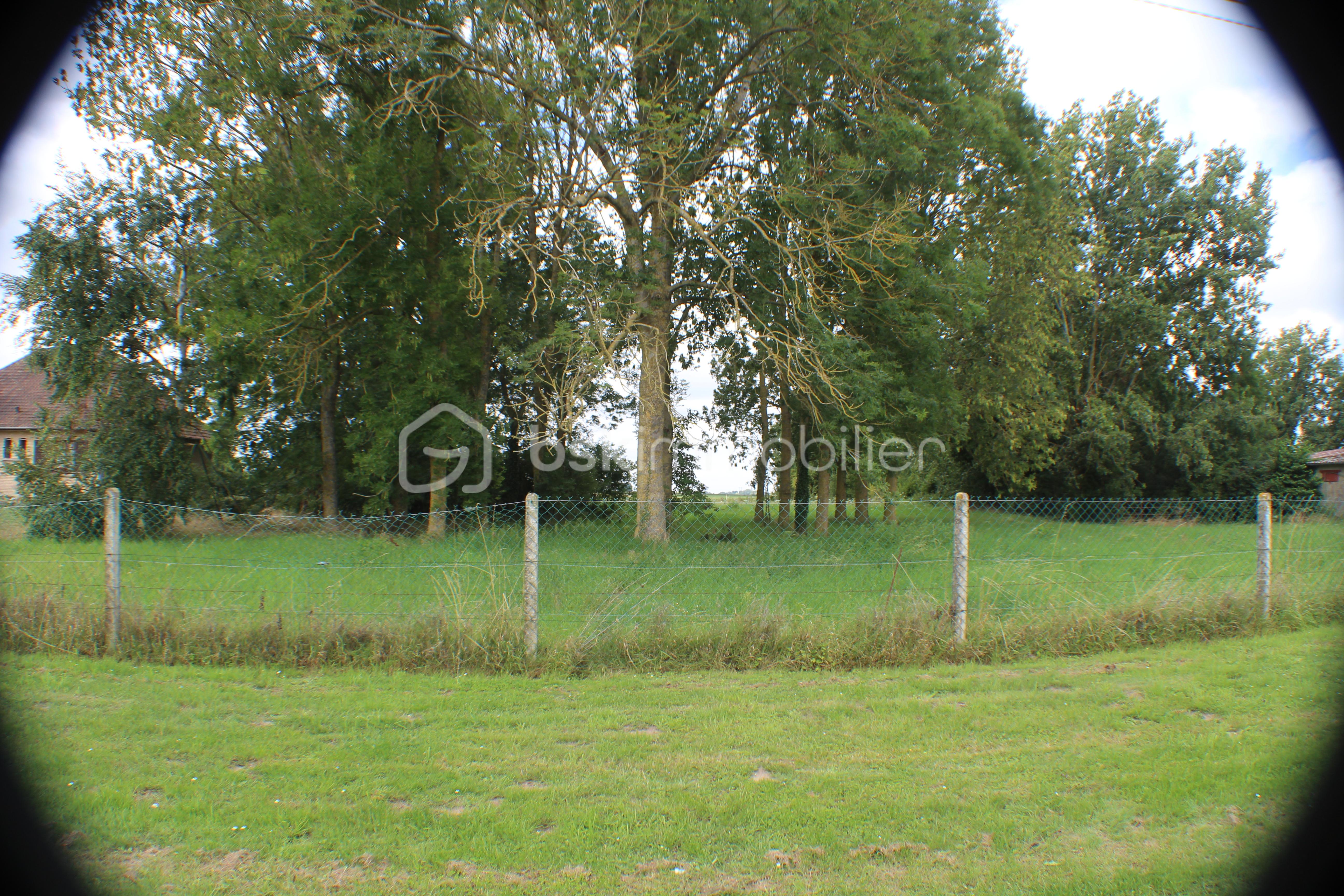 Terrain de 3 659 m² - IMG_6525.JPG