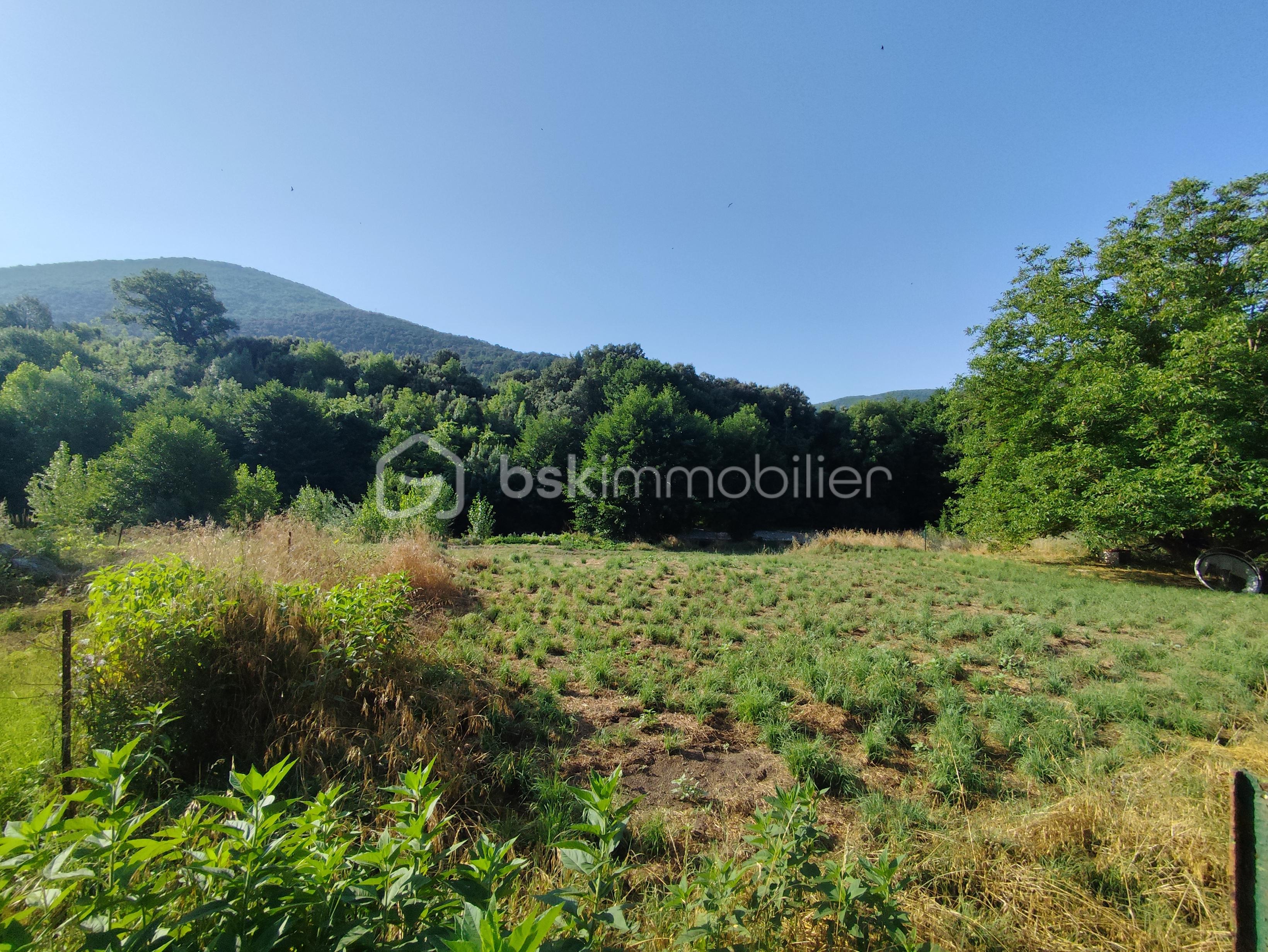 Maison de village de 167 m² - IMG_20250703_090233.jpg