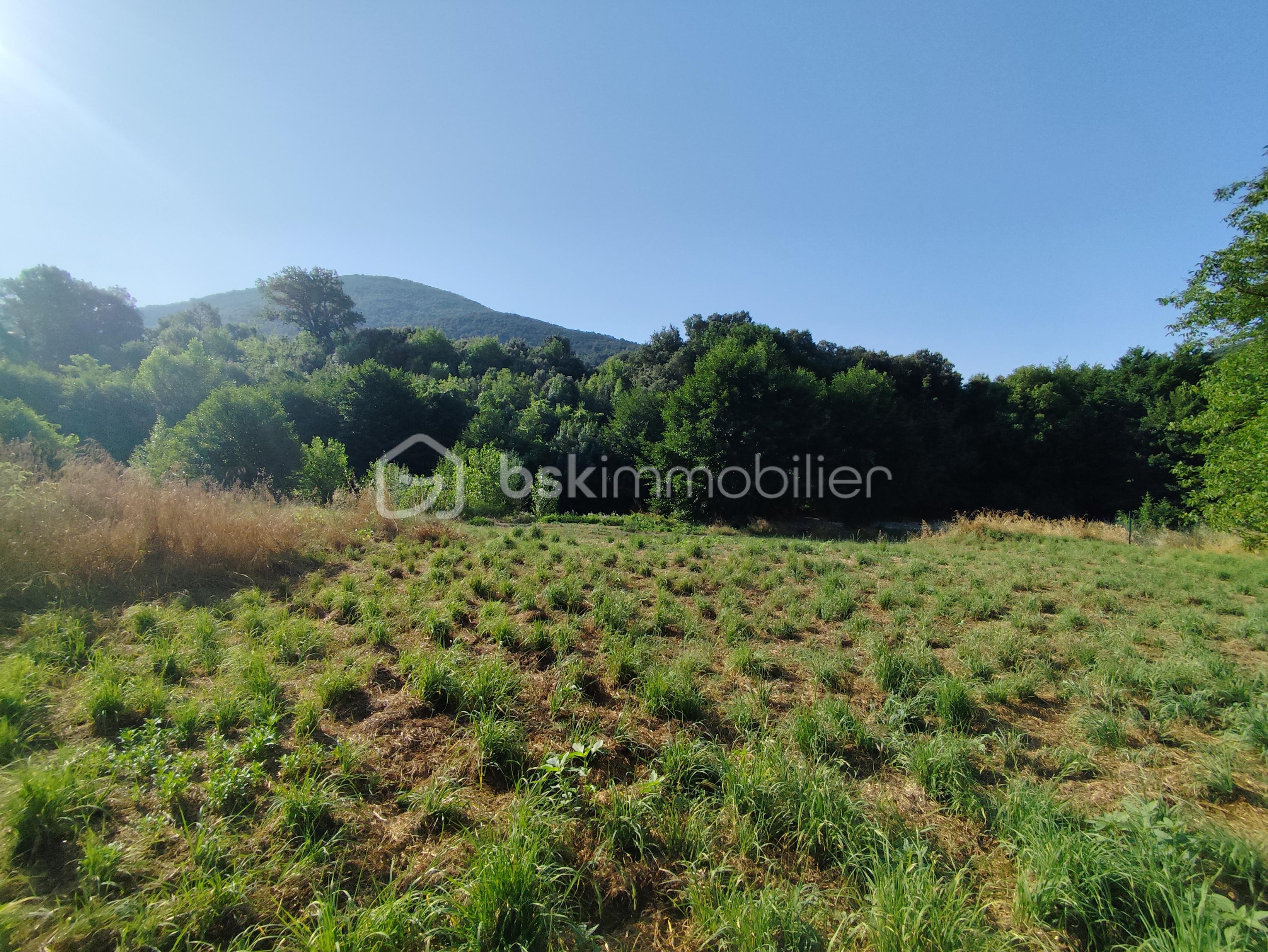 Maison de village de 167 m² - IMG_20250703_090438.jpg