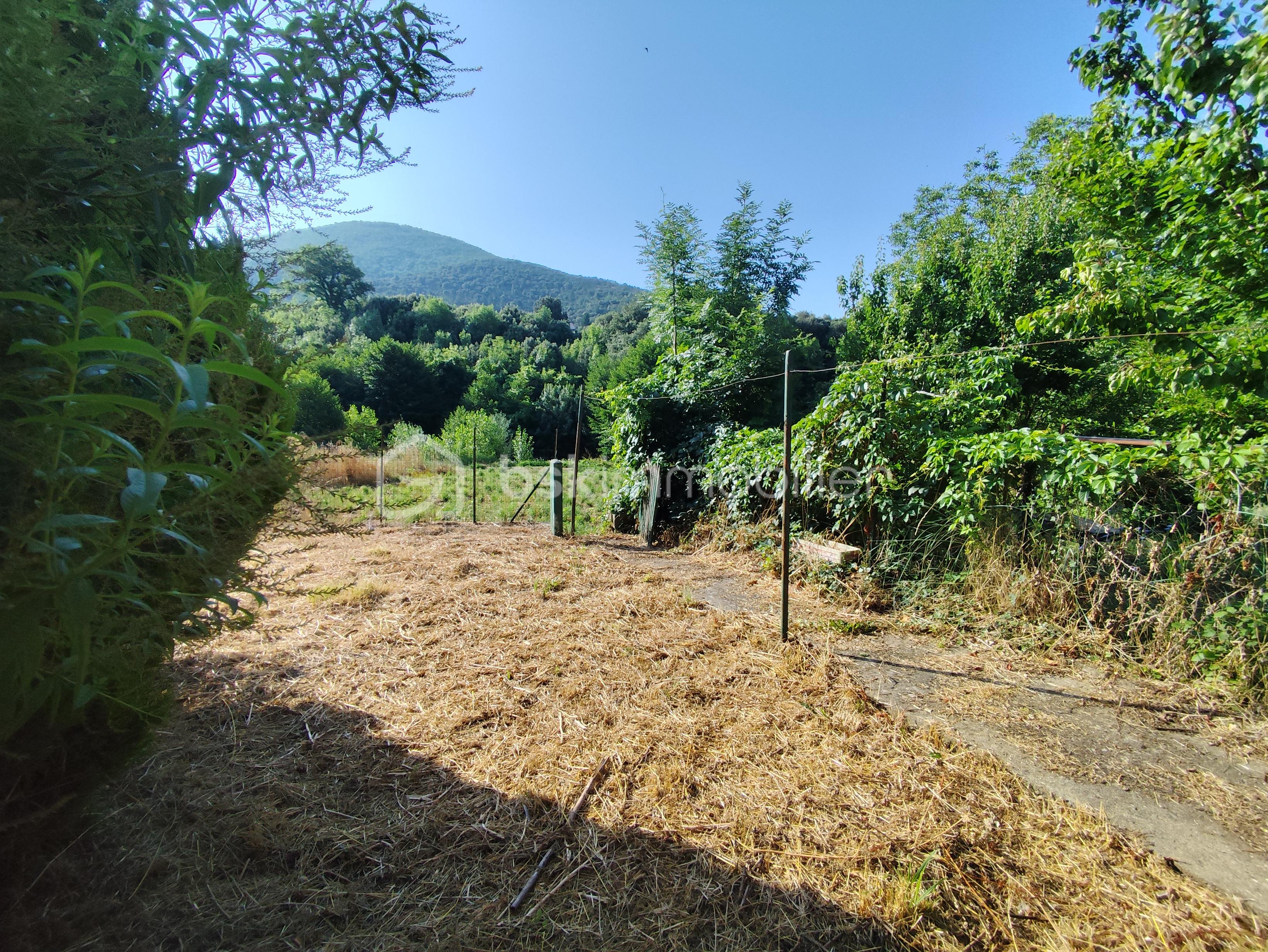 Maison de village de 167 m² - IMG_20250703_090336.jpg