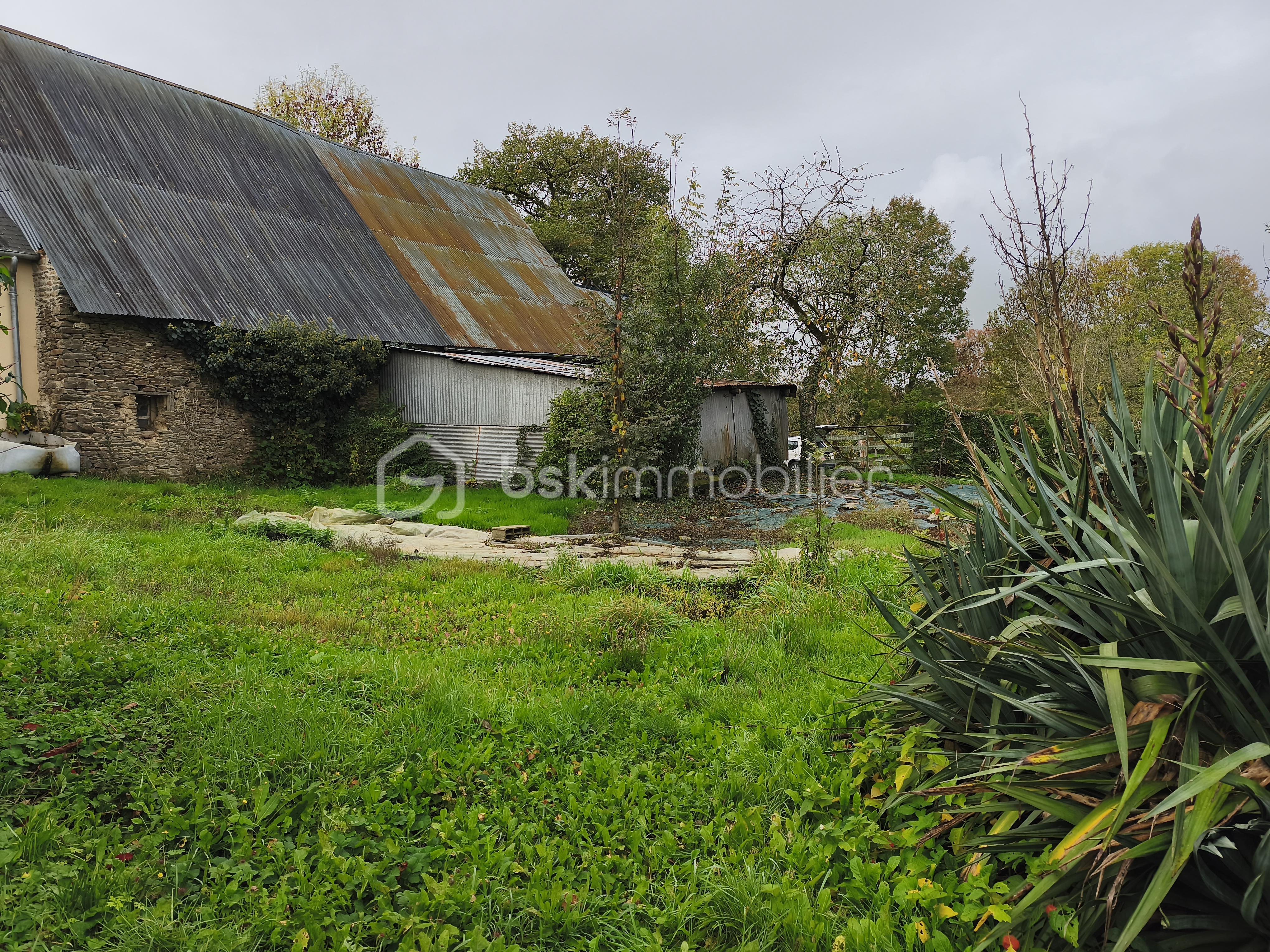 Fermette de 85 m² - IMG_20251022_104056.jpg