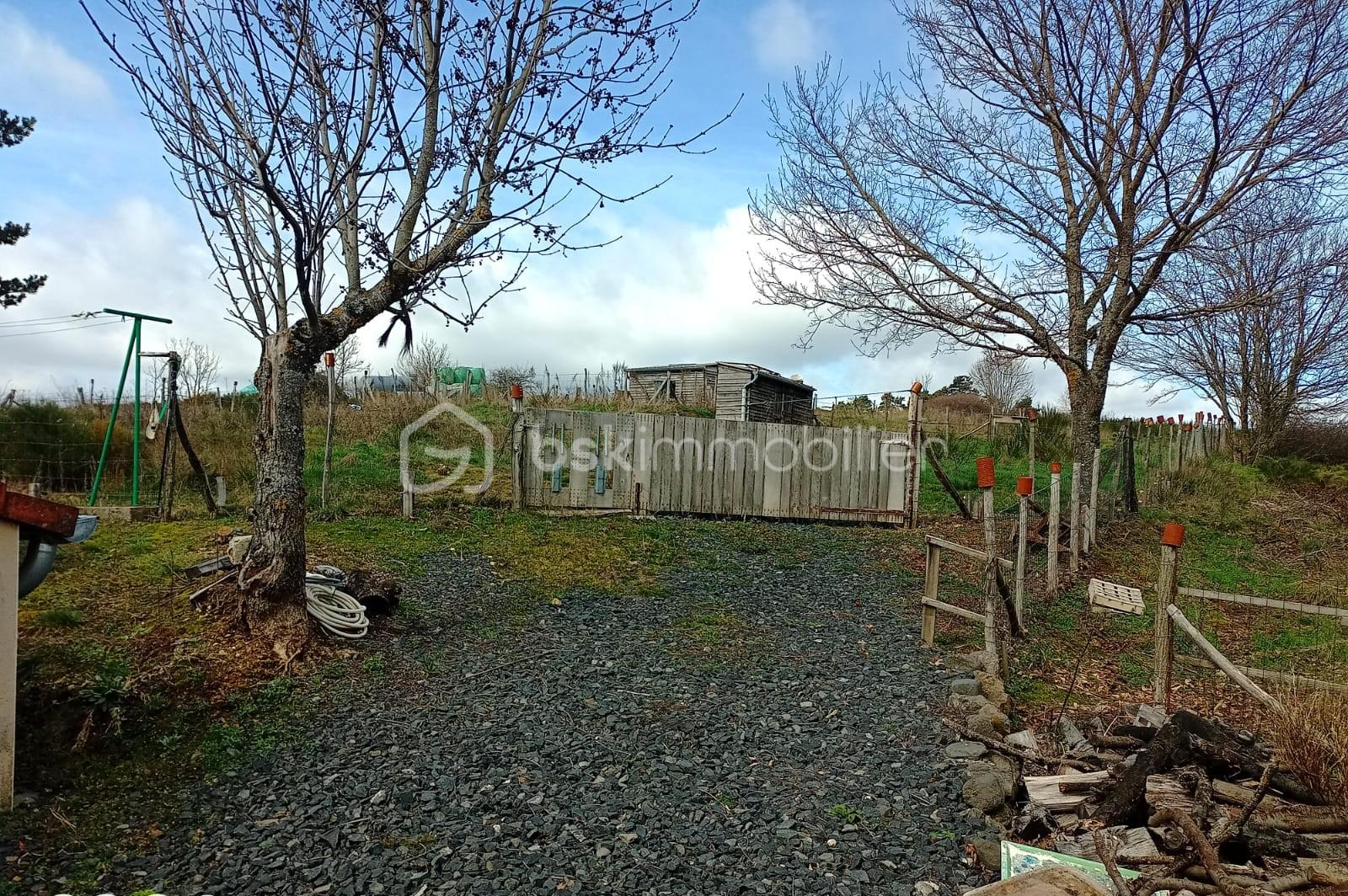 WhatsApp Image 2026-03-21 at 14.08.29.jpeg